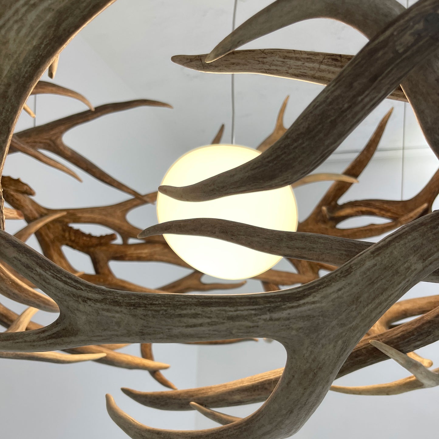 Antler Nest Pendant