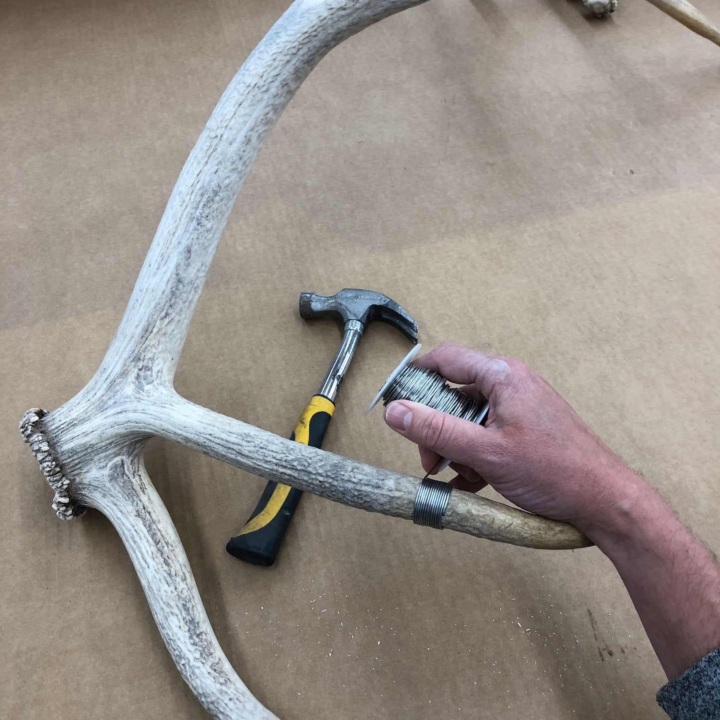 Elk Antler Wall Mounts