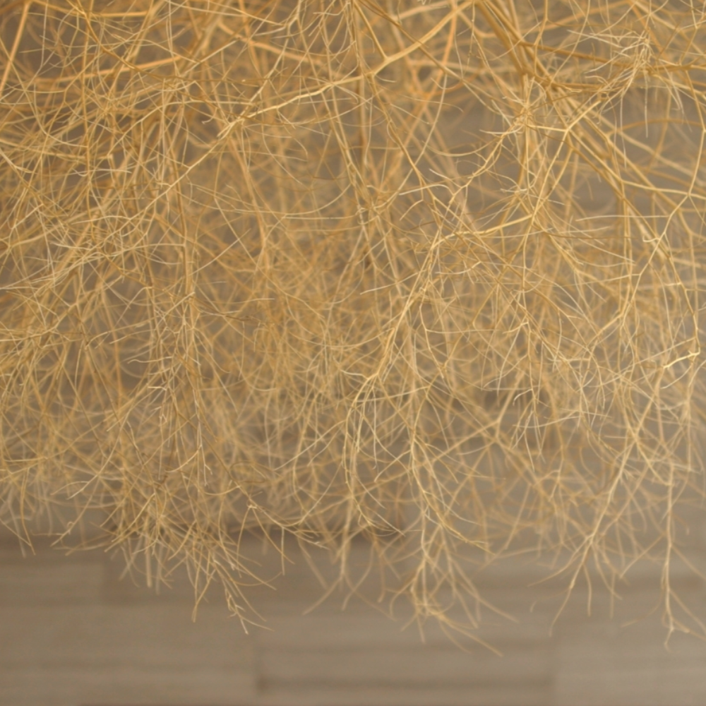 Tumbleweed Chandelier - Natural