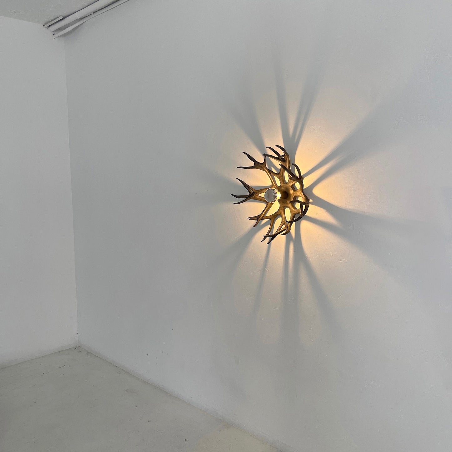 Antler Bowl Sconce