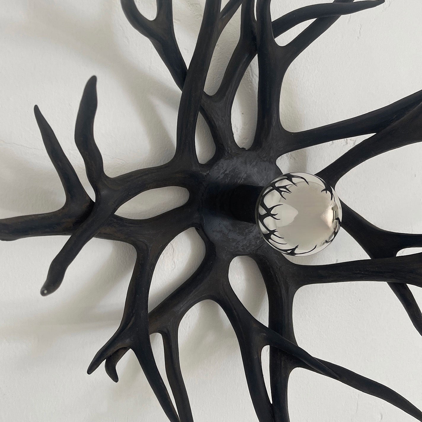 Antler Bowl Sconce