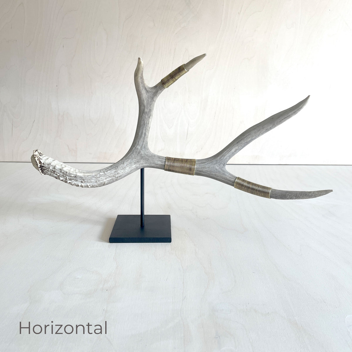 Deer Antler Scultpure - Single - Wire Wrapped