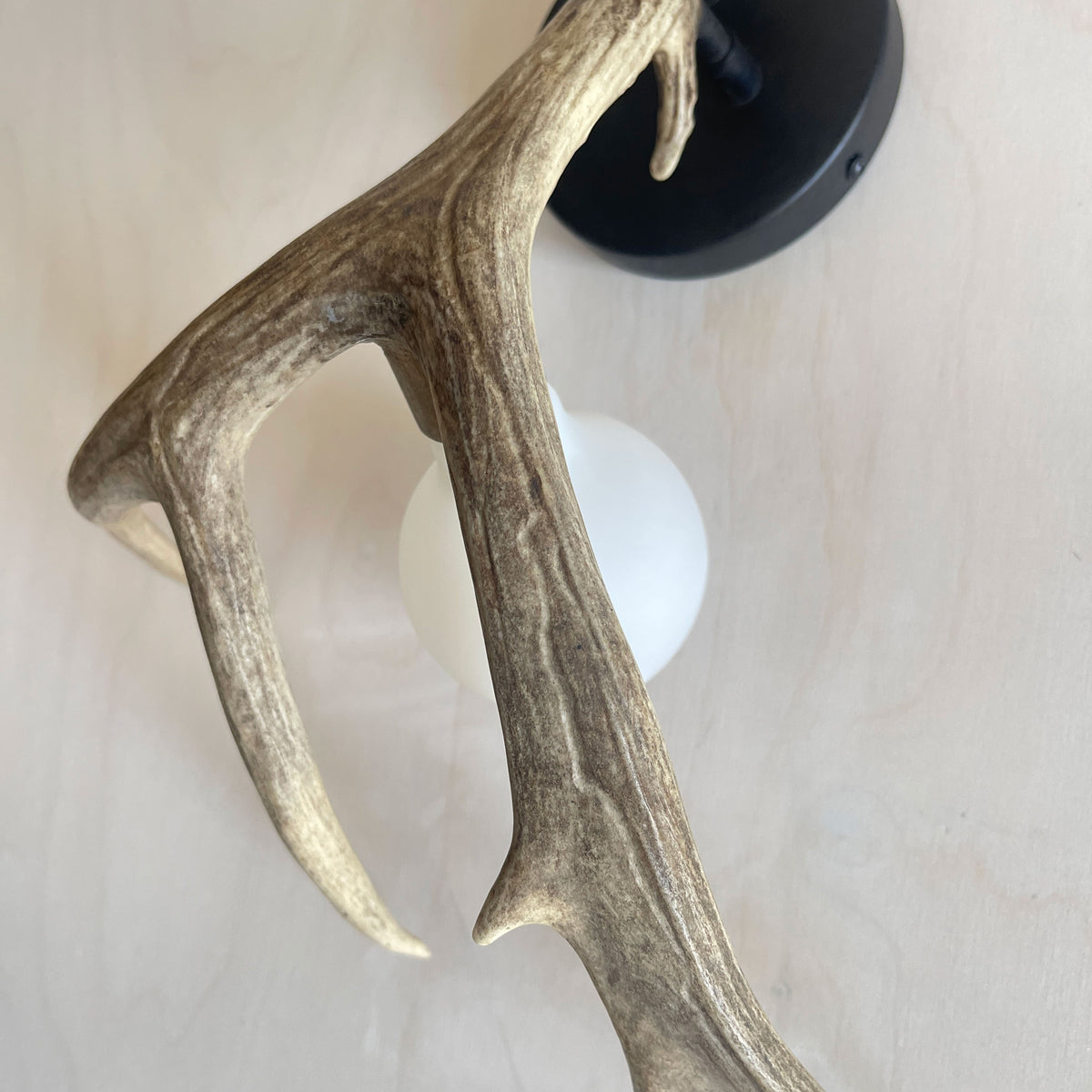 Antler Shed Sconce