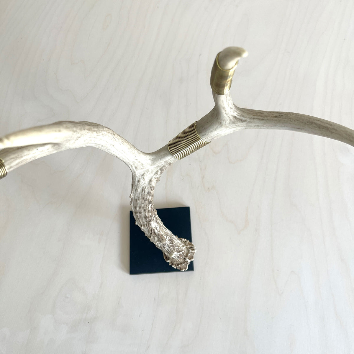 Deer Antler Scultpure - Single - Wire Wrapped