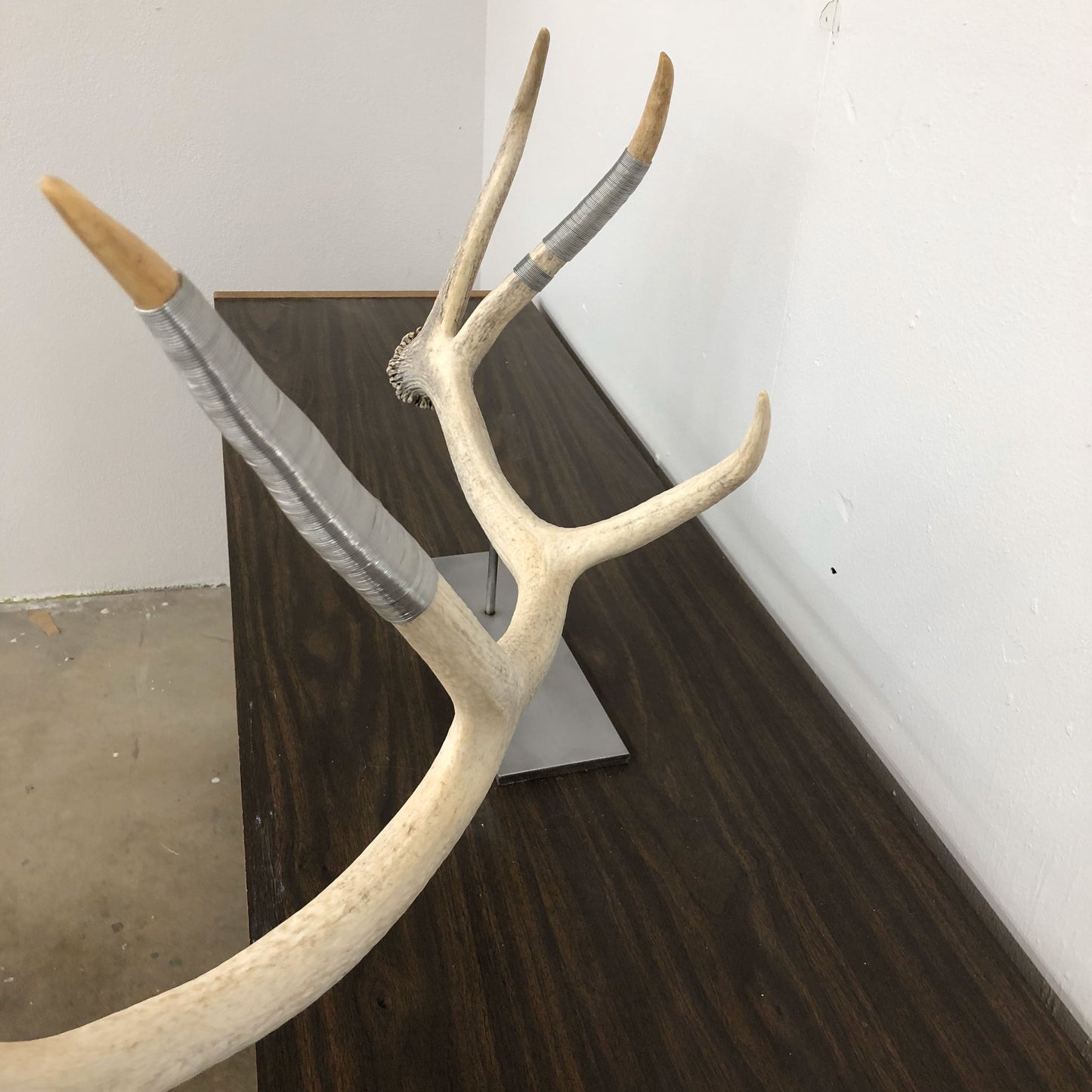 Elk Antler Sculpture