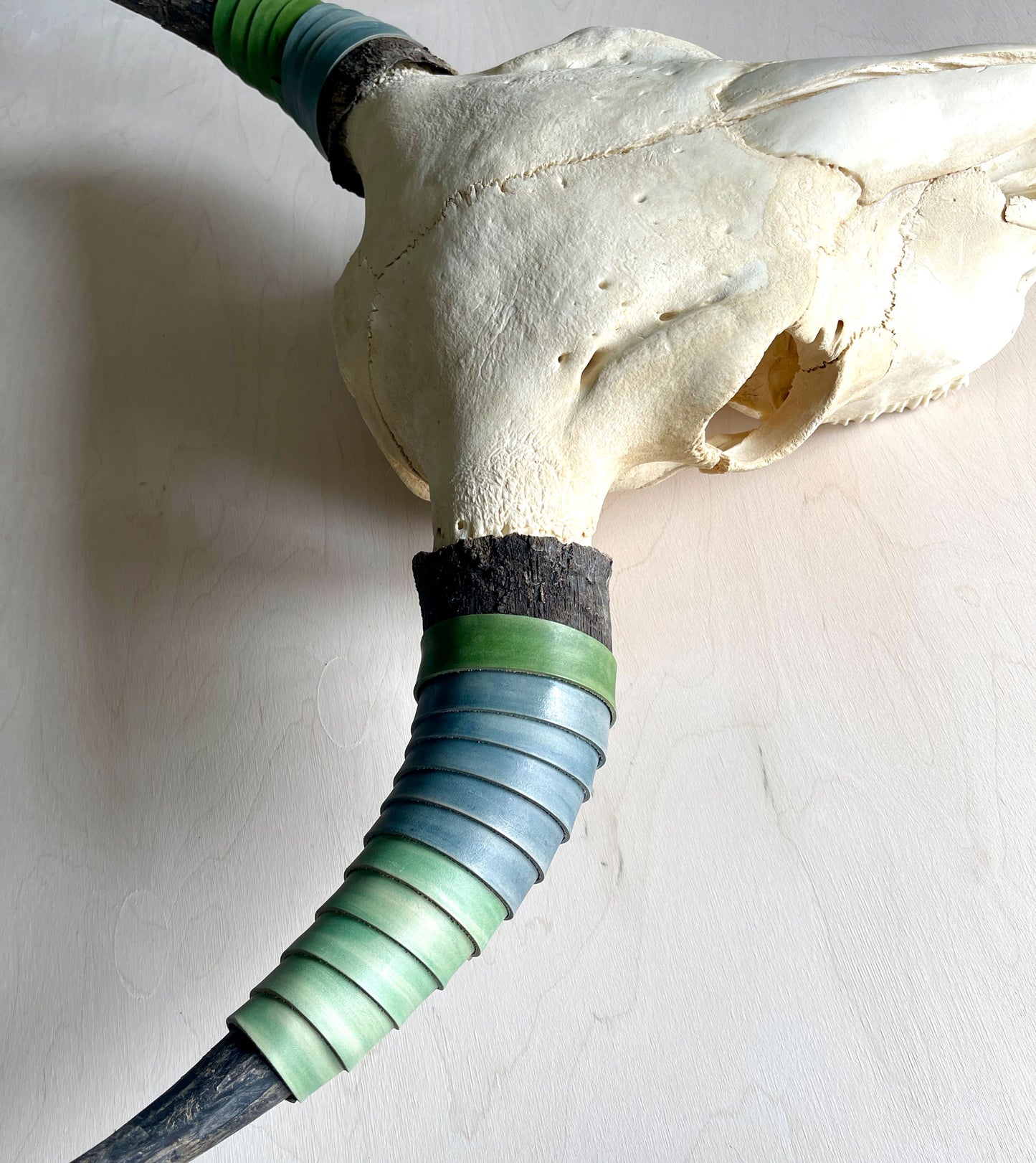 Bison Skull - Leather rapped