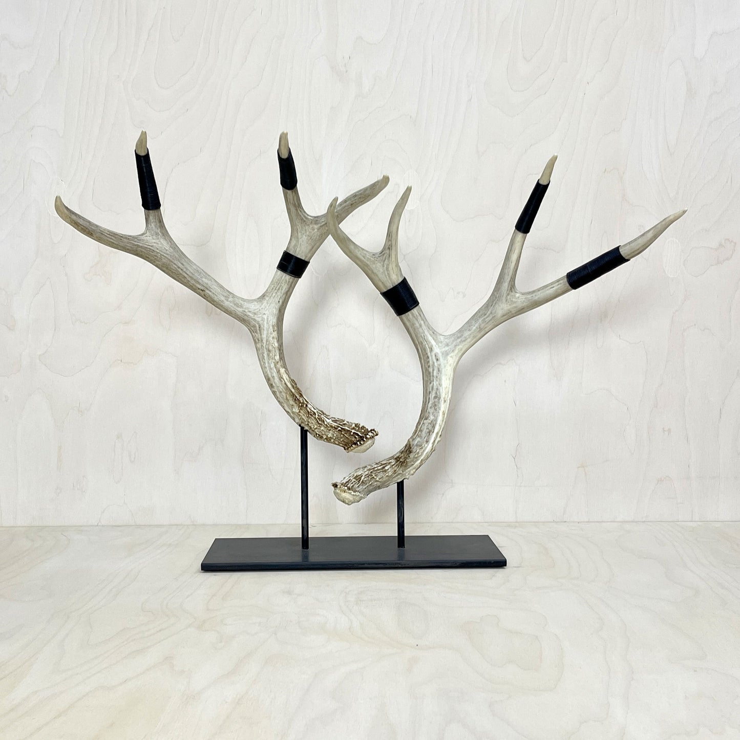 Deer Antler Stand - Wire Wrapped