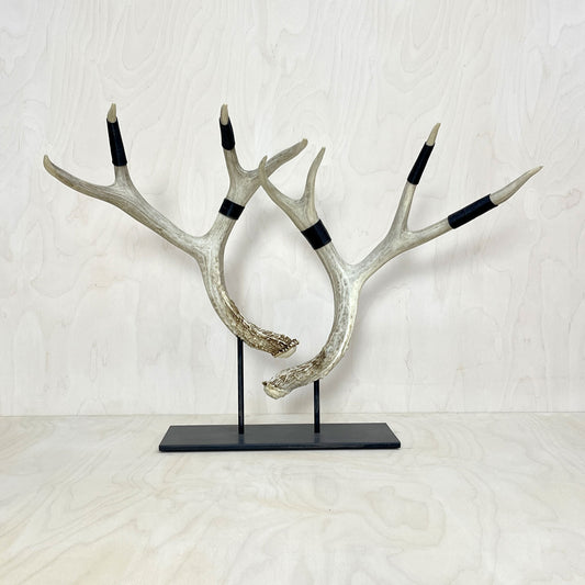 Deer Antler Stand - Wire Wrapped