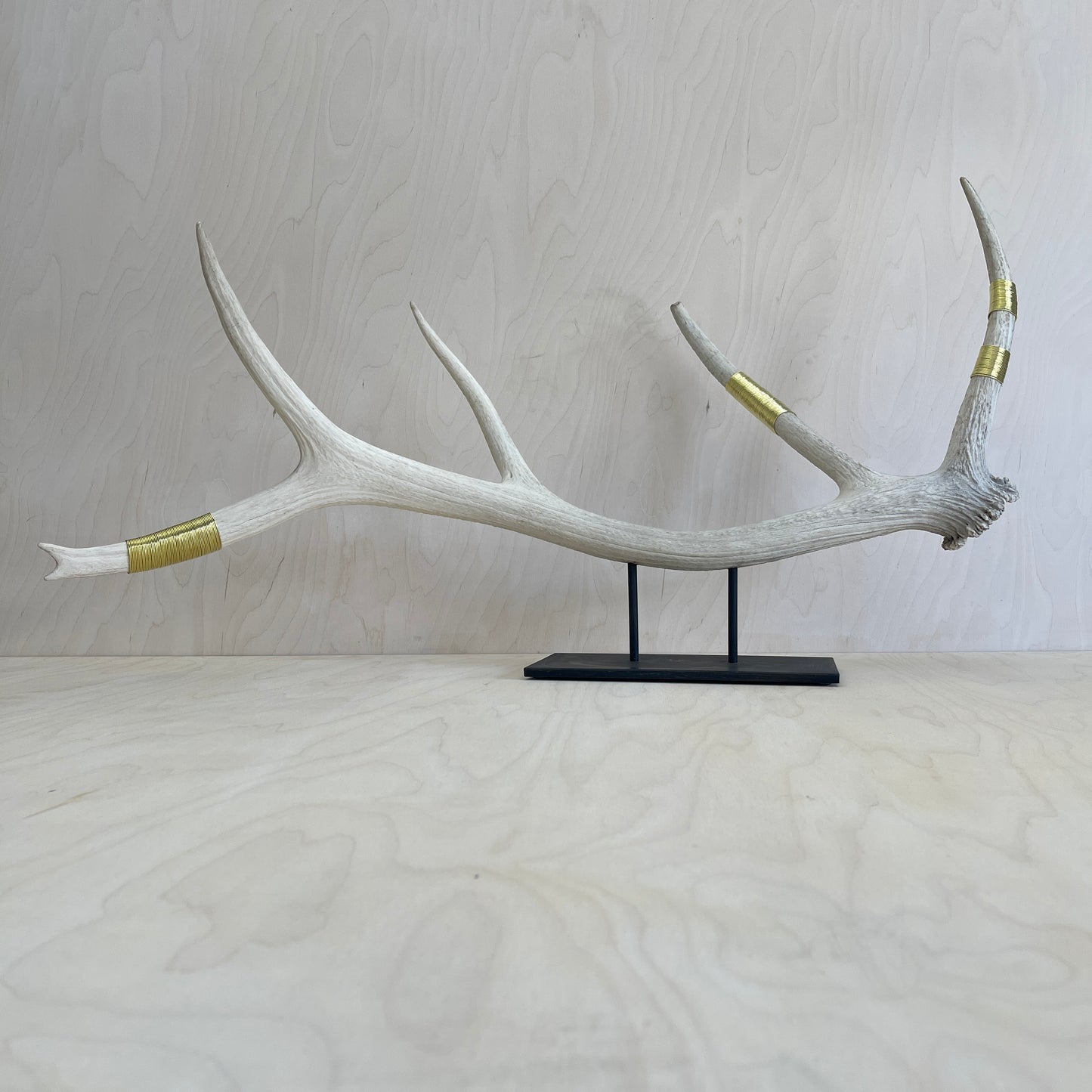 Elk Antler Sculpture