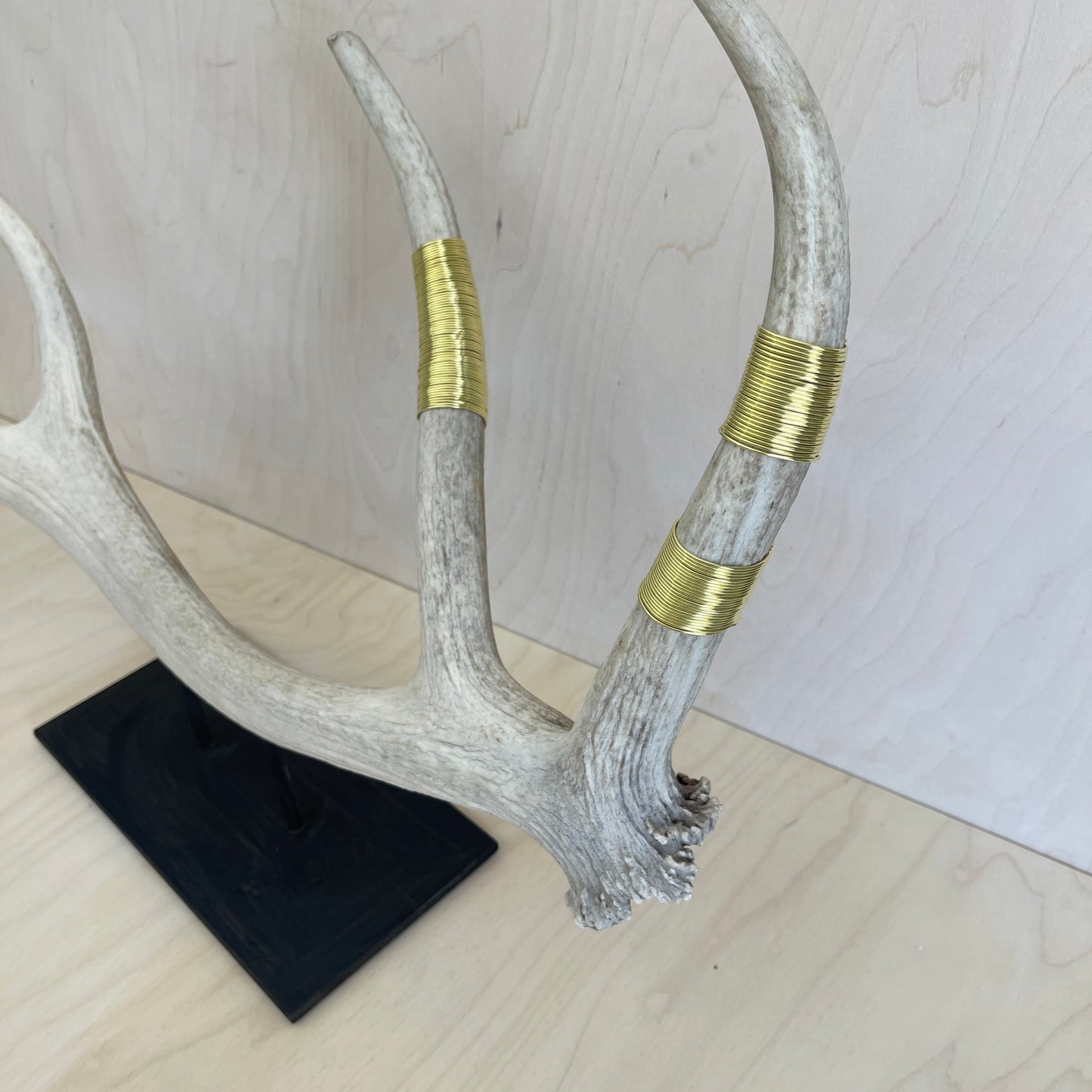 Elk Antler Sculpture