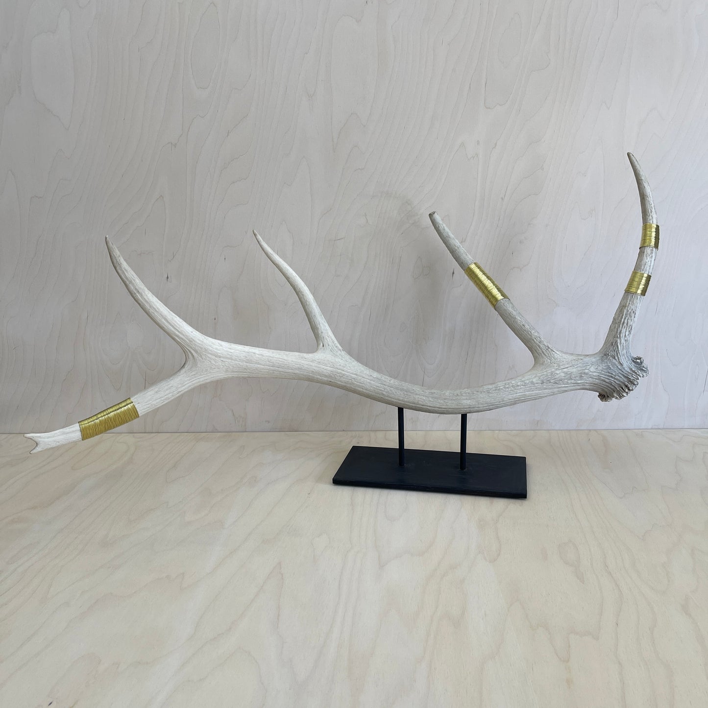 Elk Antler Sculpture