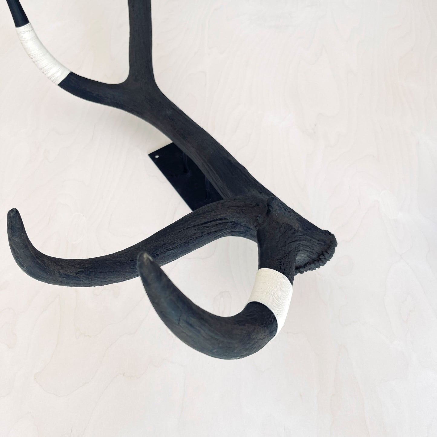 Elk Antler Wall Mounts
