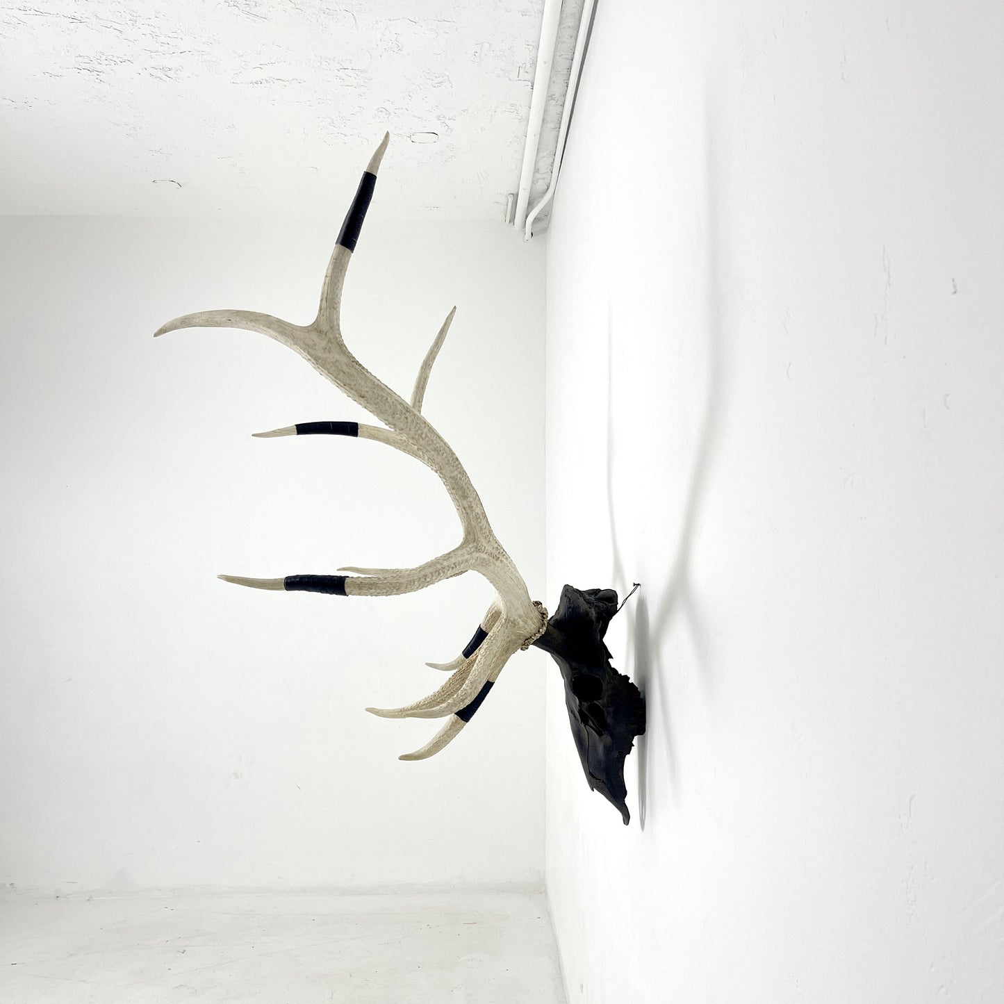 Elk Euro Mount