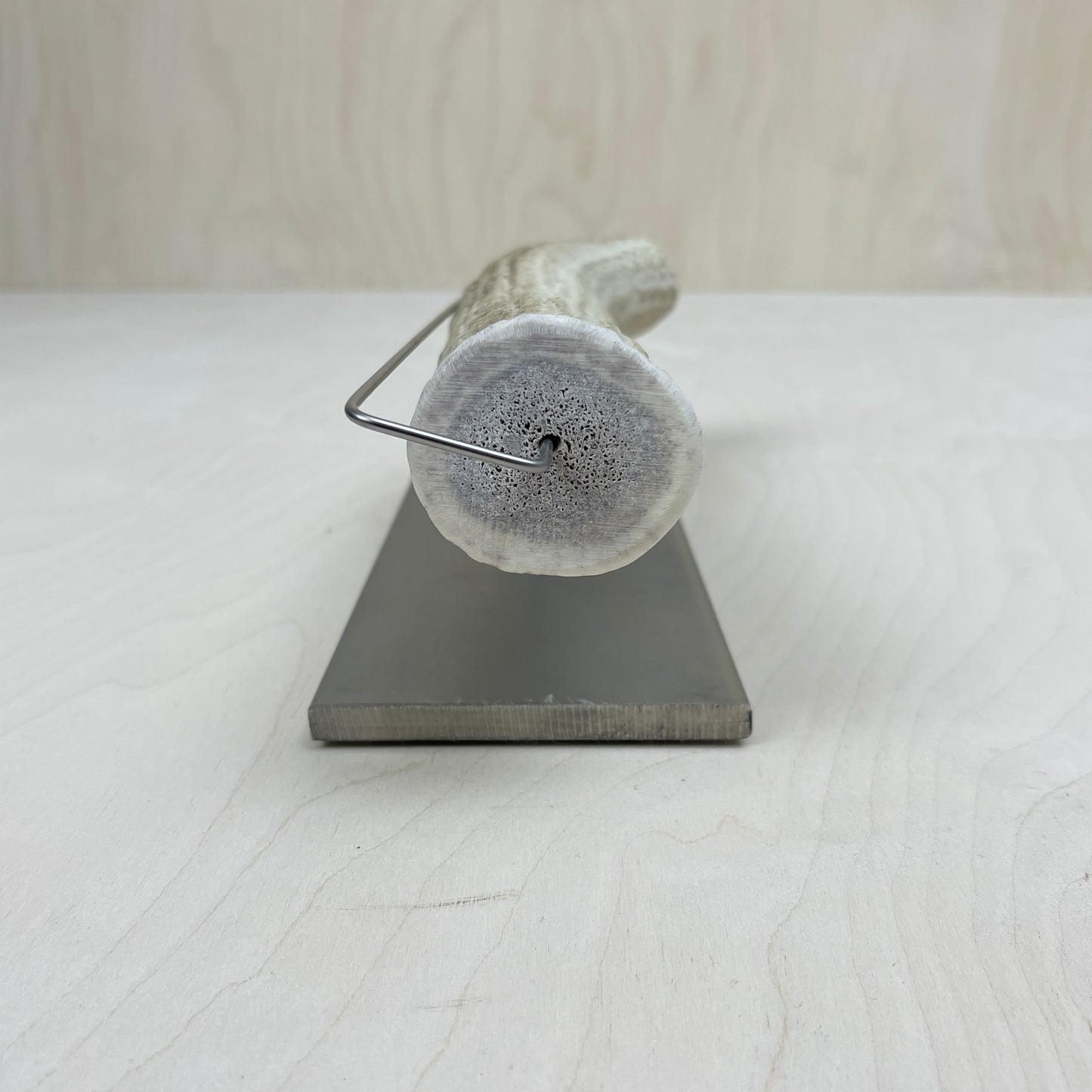 Variety Starter Set w/ Elk Antler Display