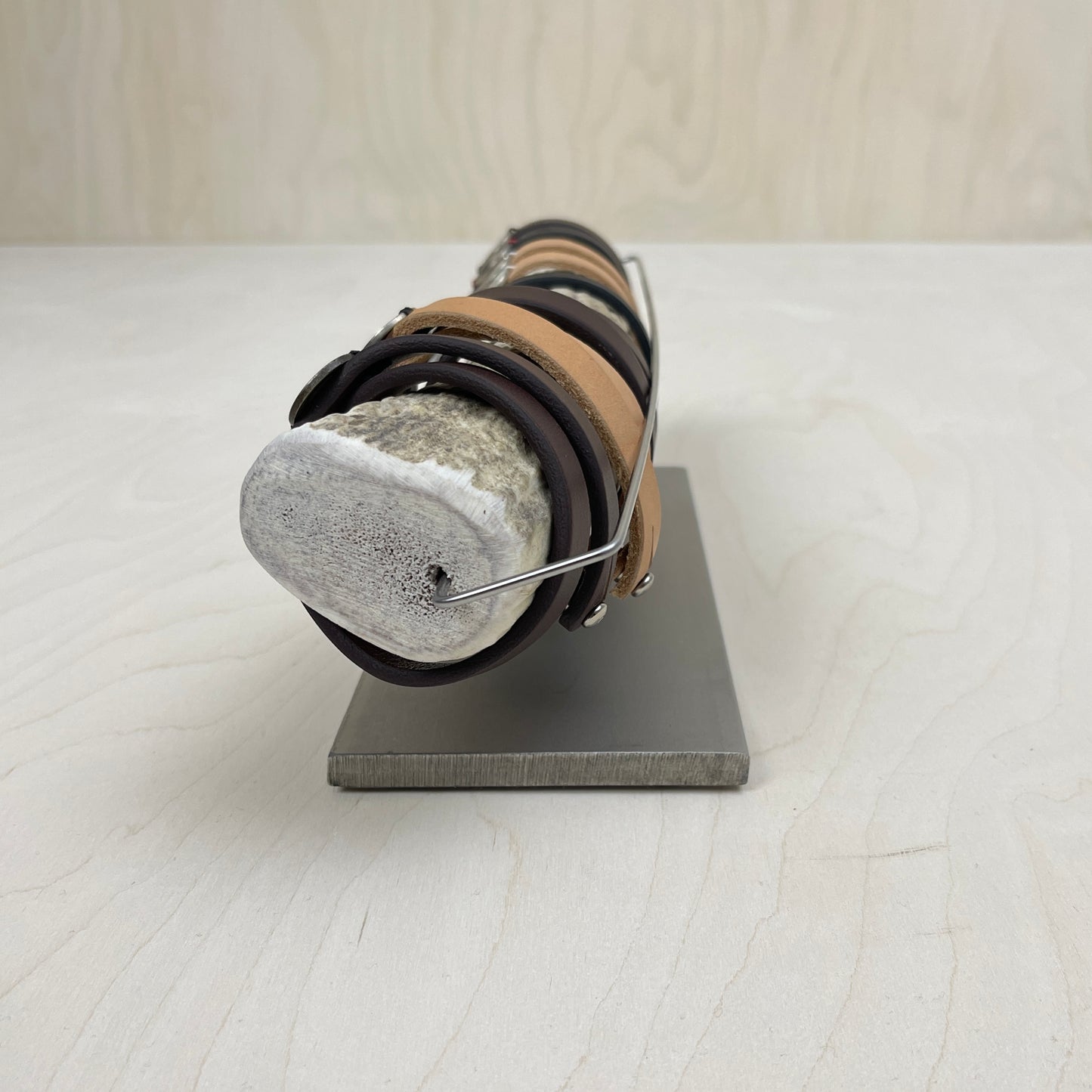 Variety Starter Set w/ Elk Antler Display