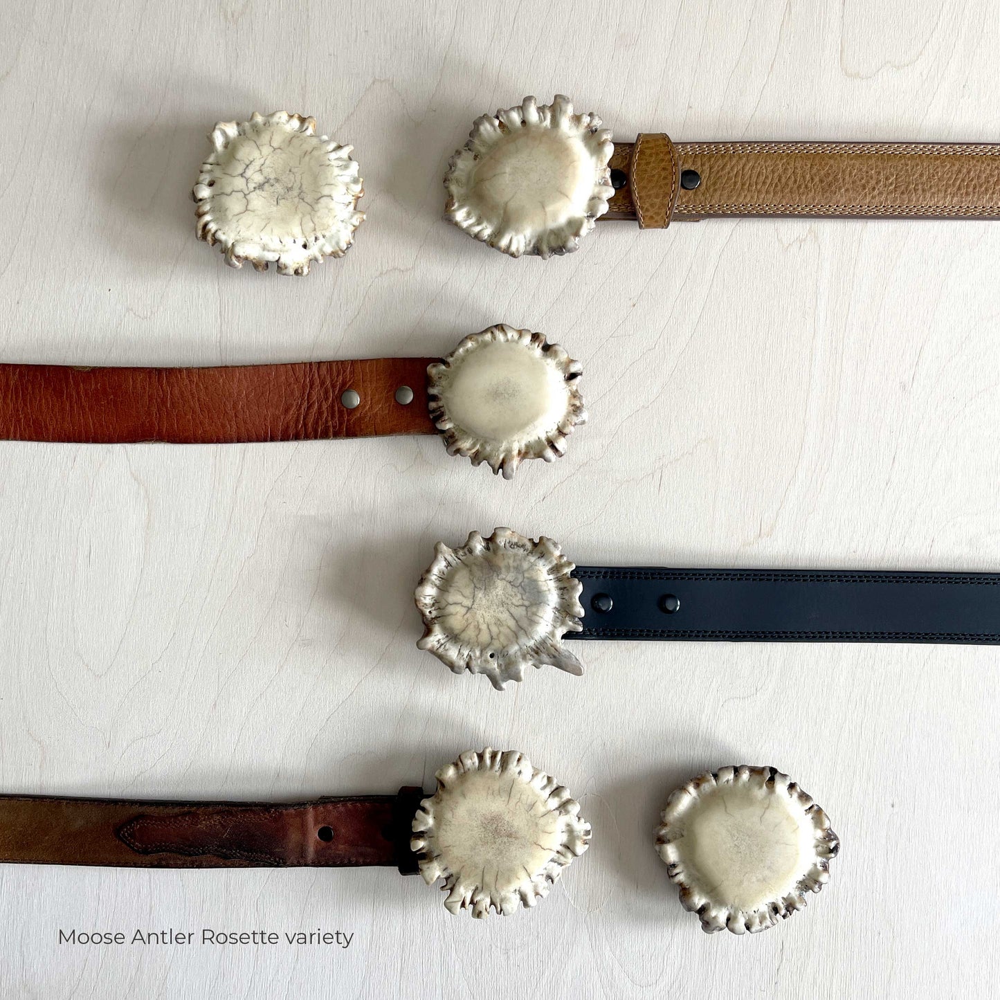 Moose Antler Belt Buckle