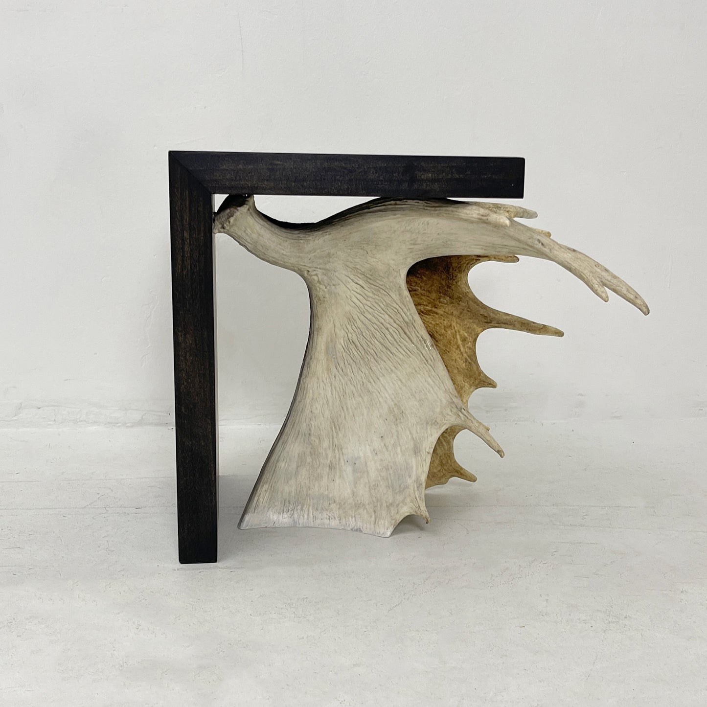 Moose Antler End Table