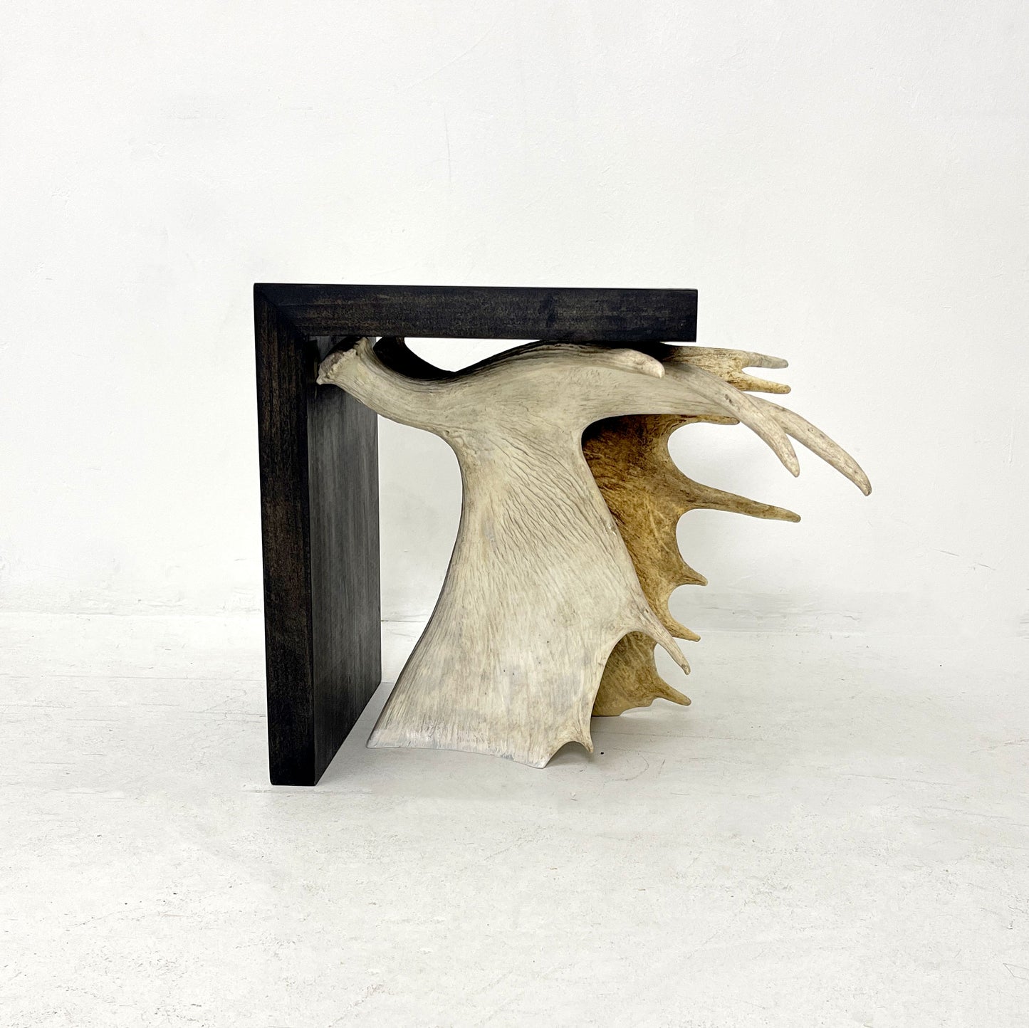 Moose Antler End Table