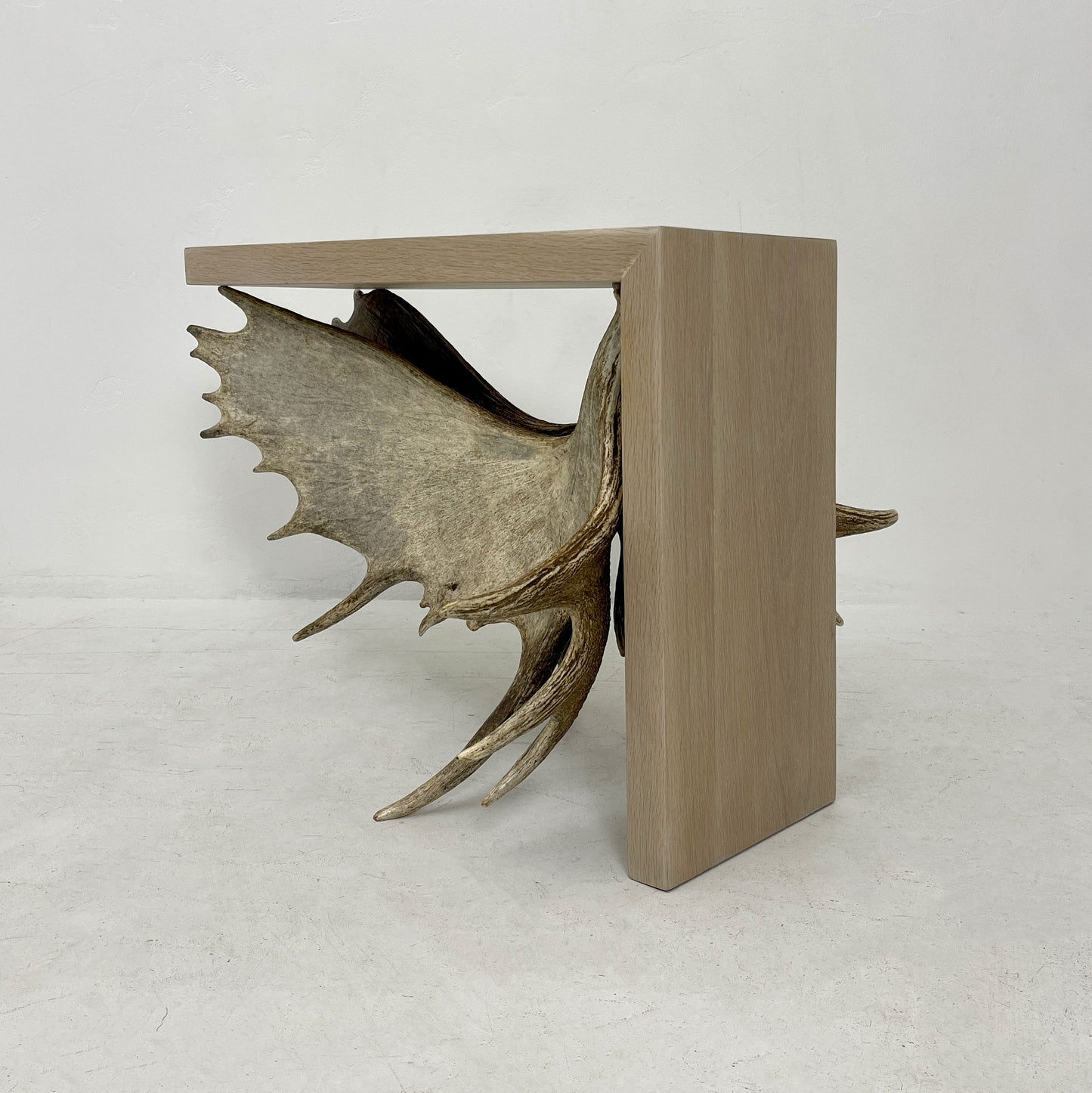Moose Antler End Table
