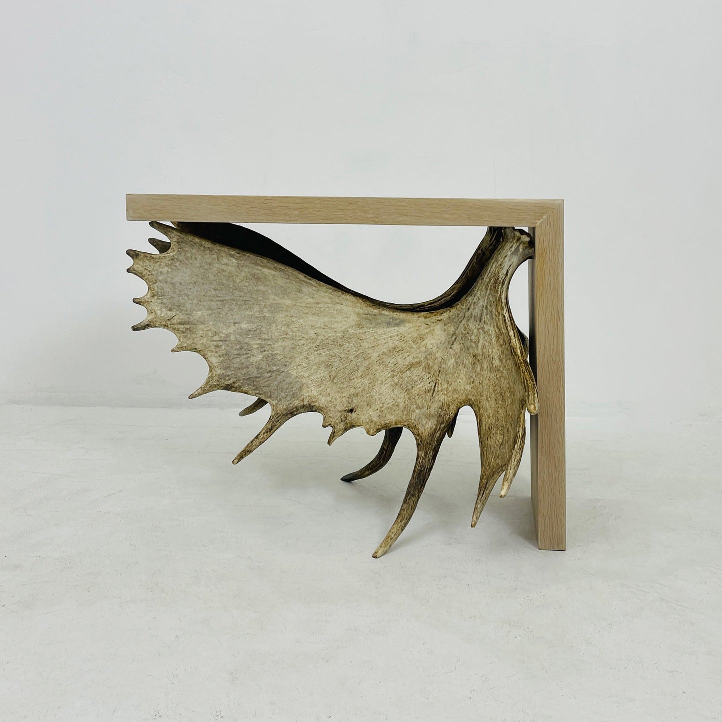 Moose Antler End Table