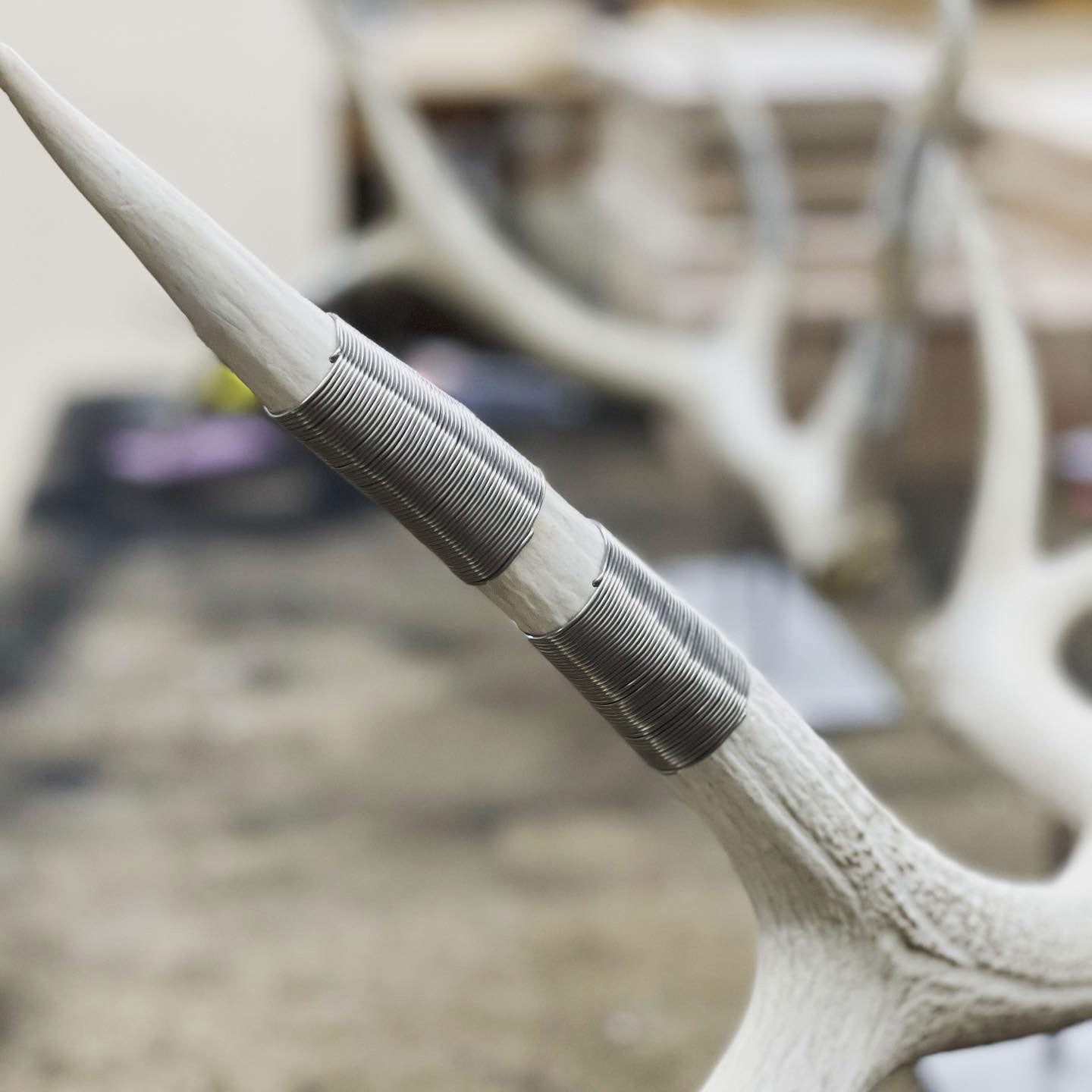 Elk Antler Sculpture