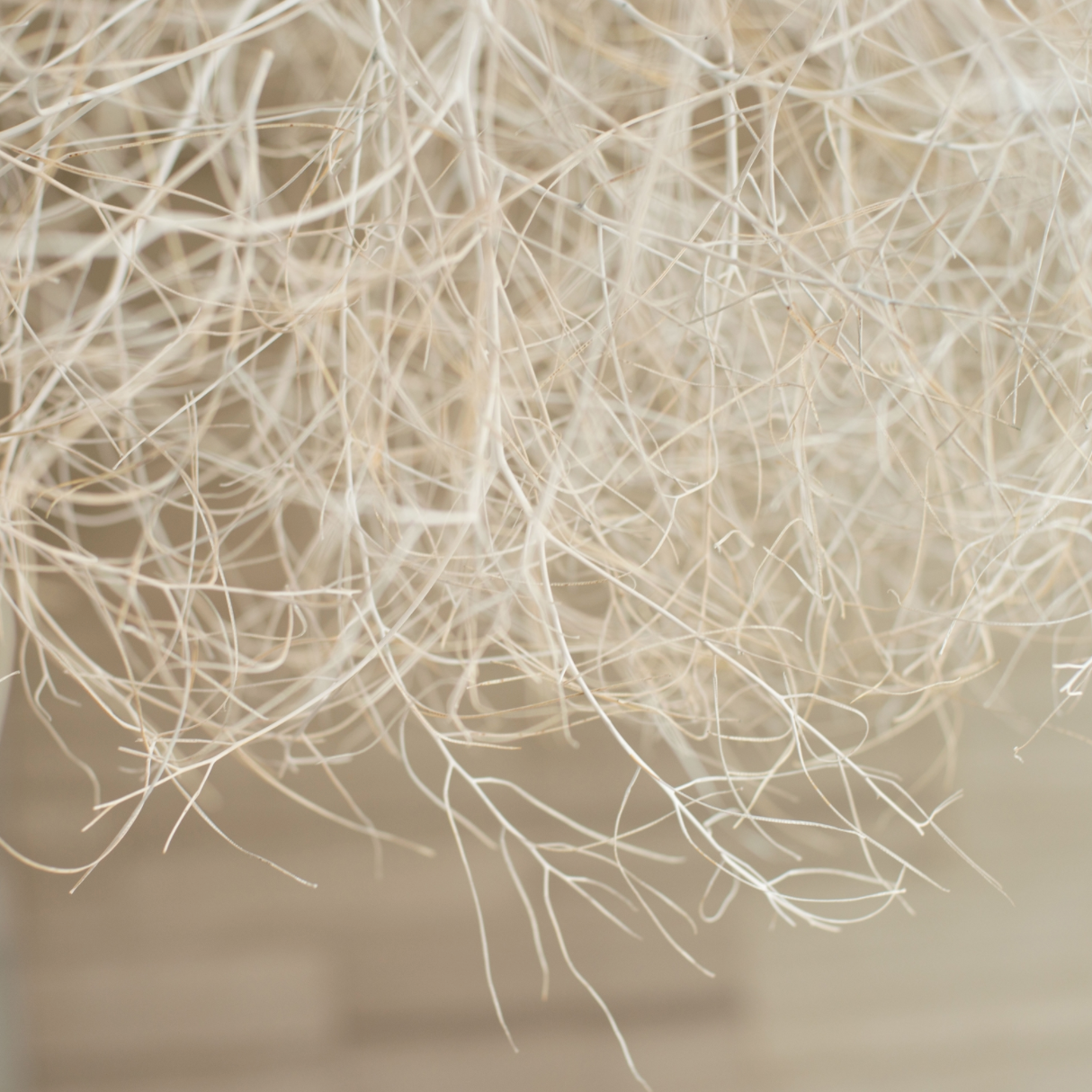 Tumbleweed Chandelier - White
