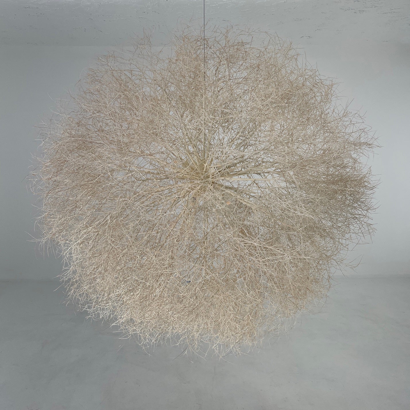 Tumbleweed Chandelier - 8 Bulbs