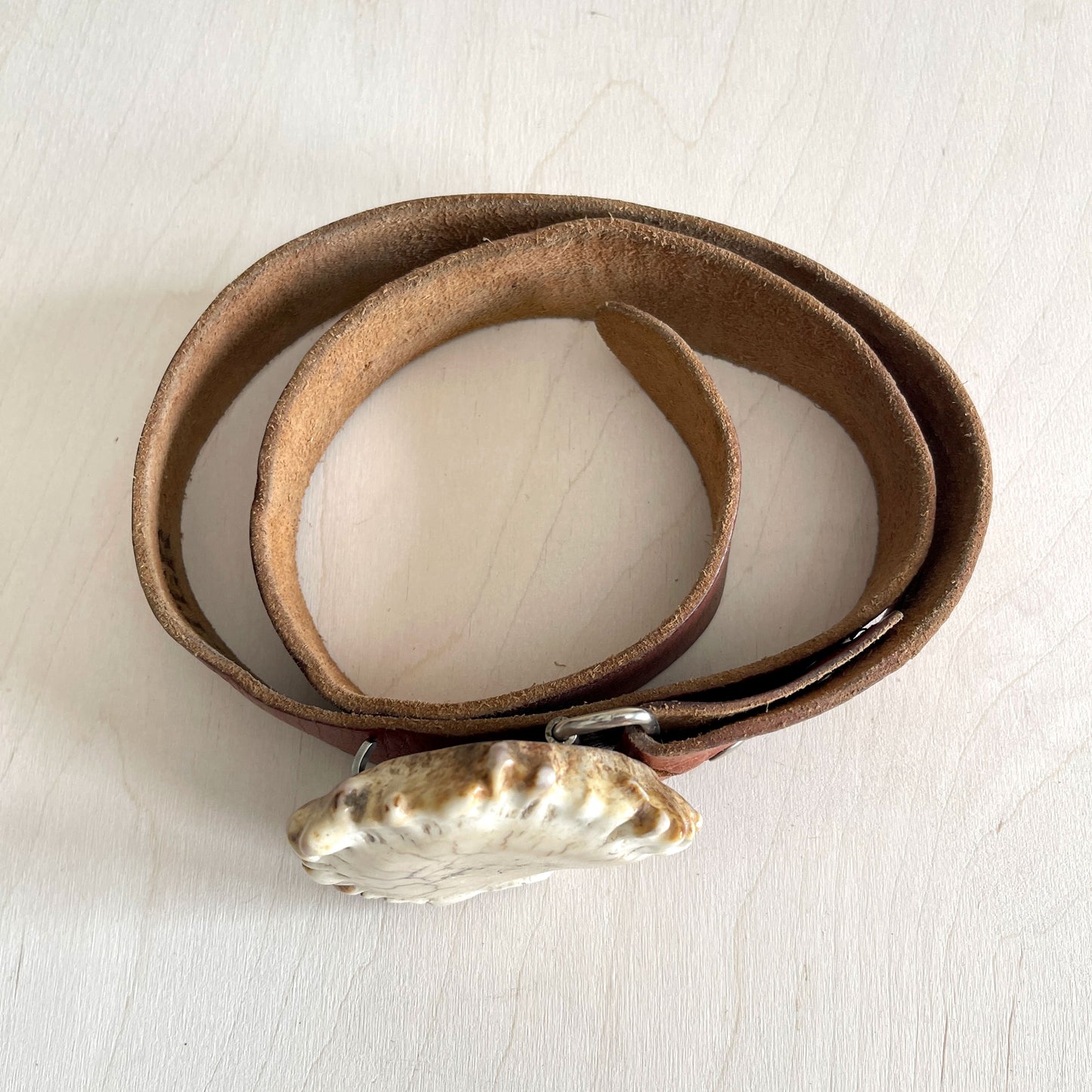 Moose Antler Belt Buckle