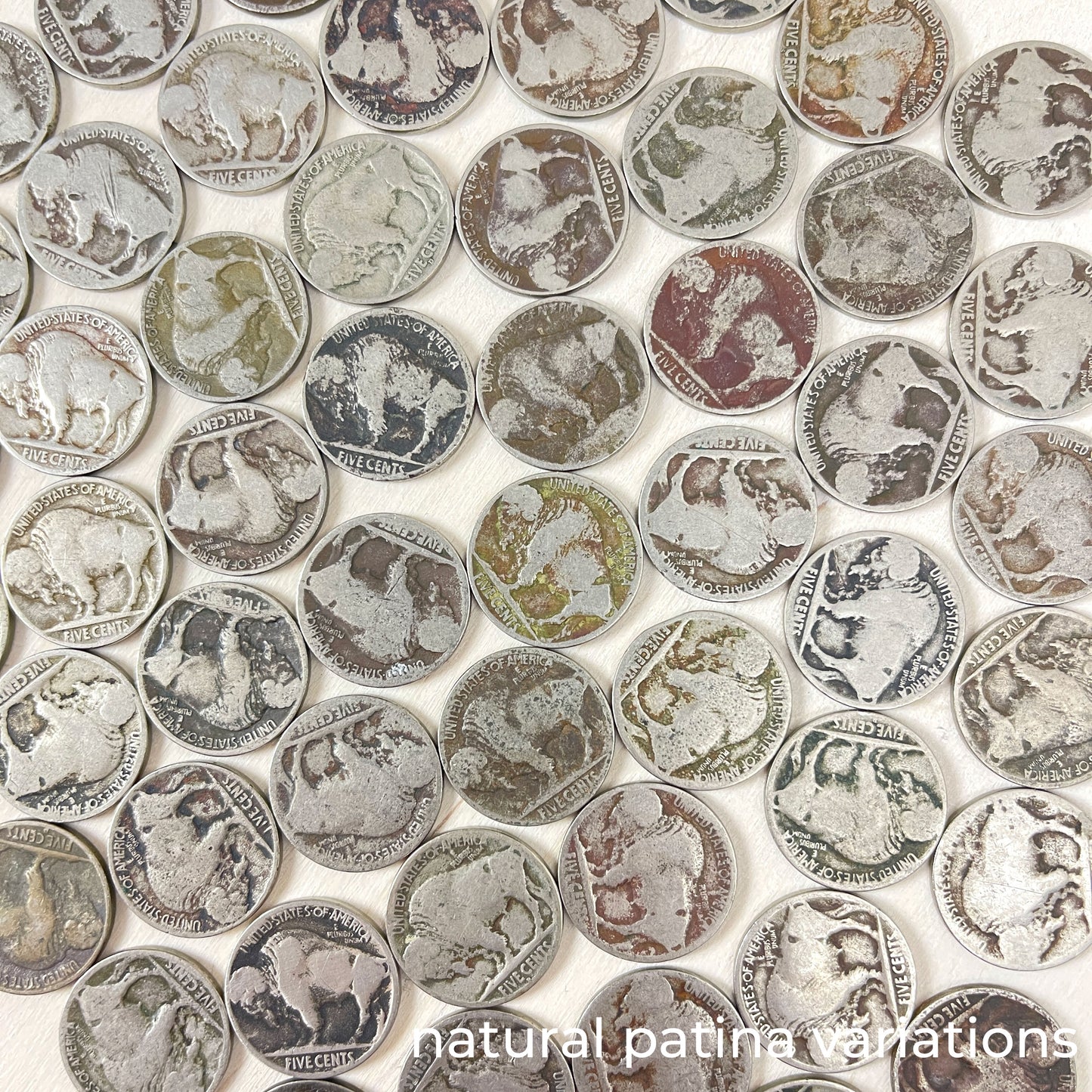 Buffalo Nickel Wristband