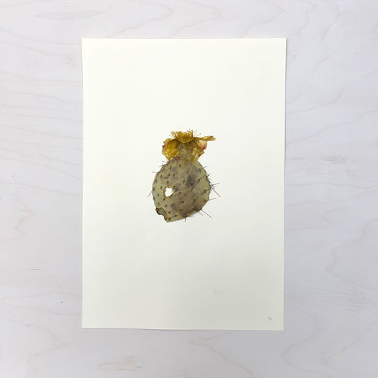 Vintage Pressed Botanical #37