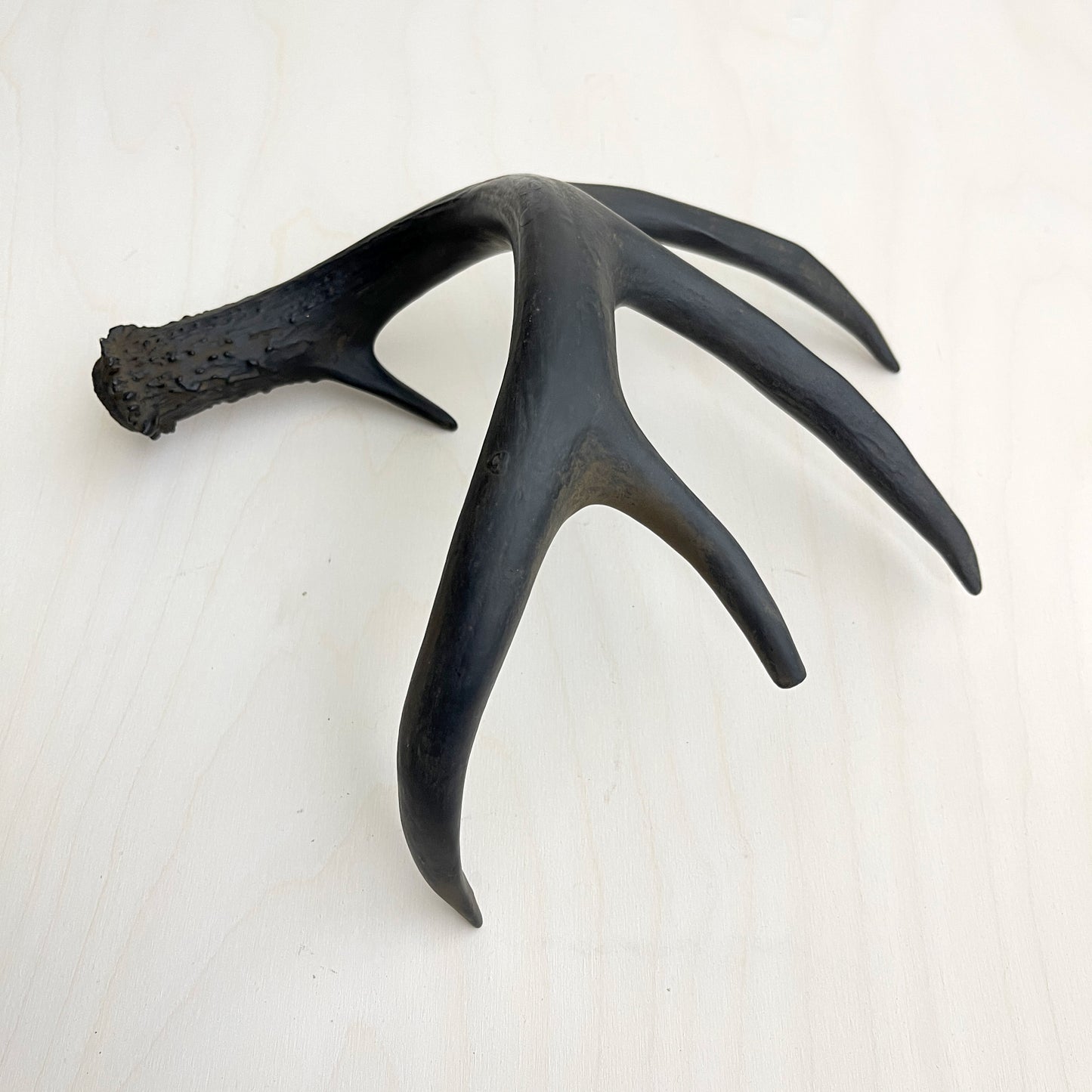 Antler Accents - Gilded