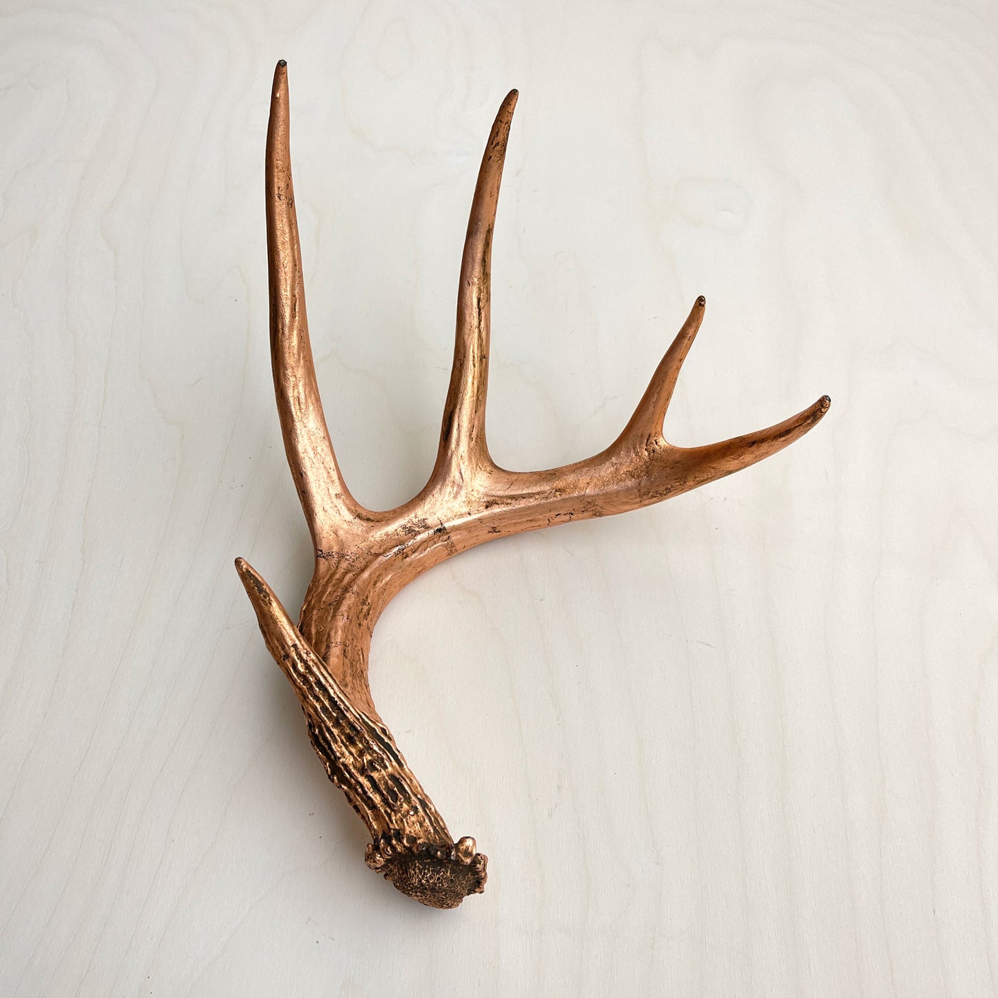 Antler Accents - Gilded