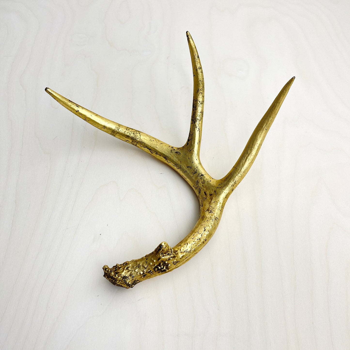 Antler Accents - Gilded