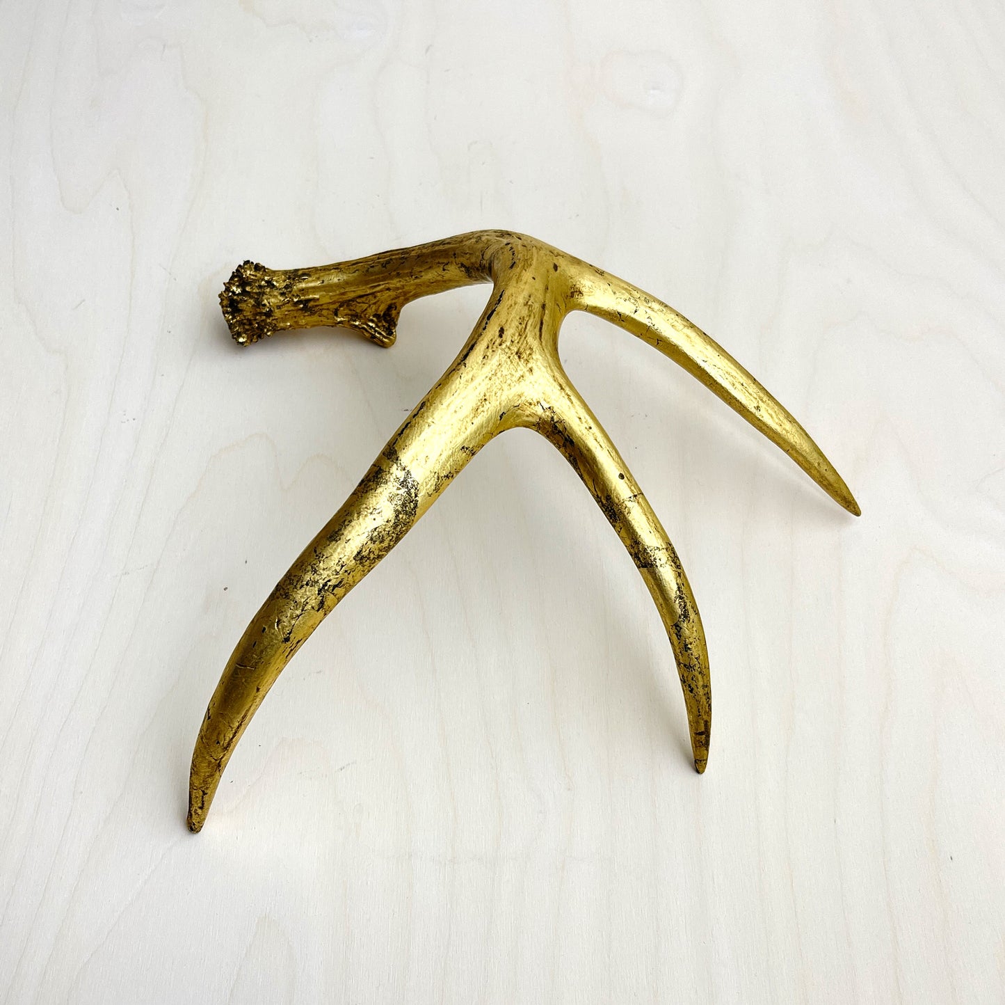 Antler Accents - Gilded