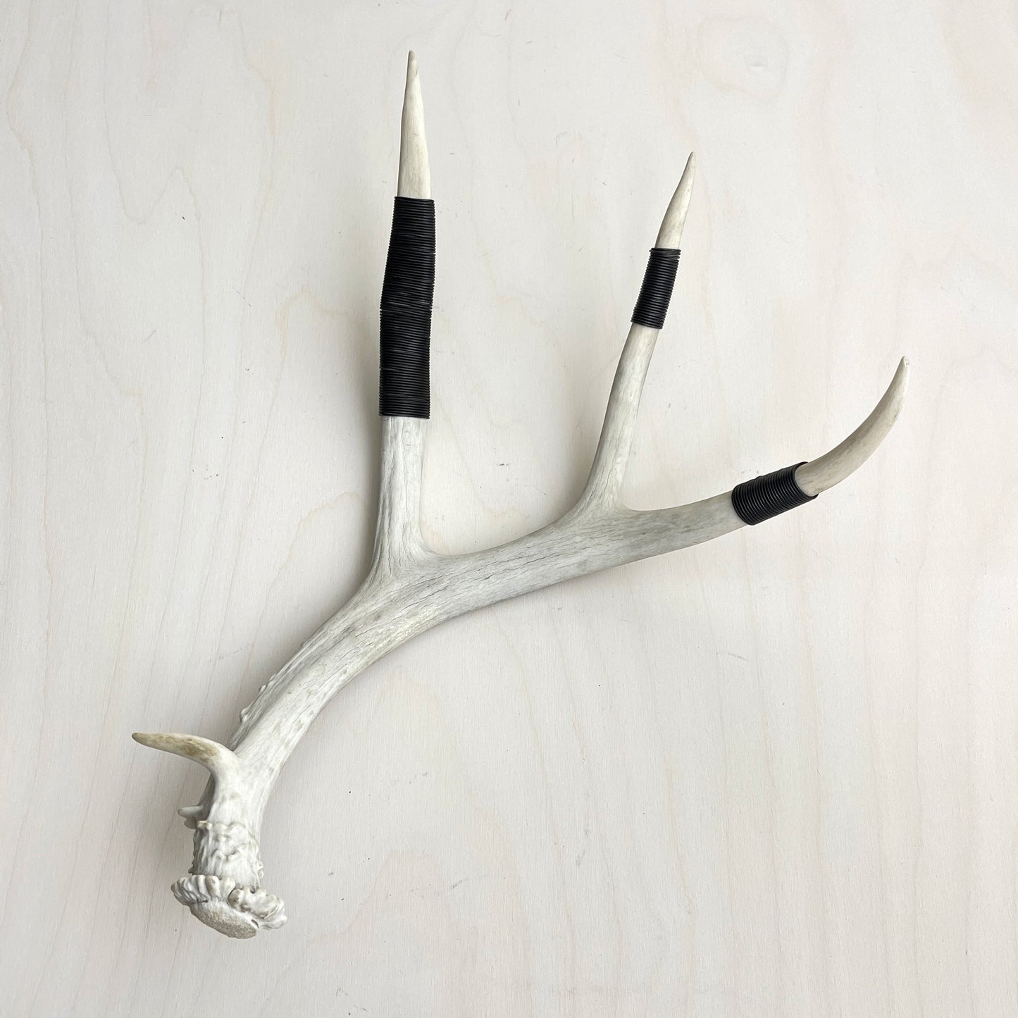 Antler Accent - Wire Wrapped