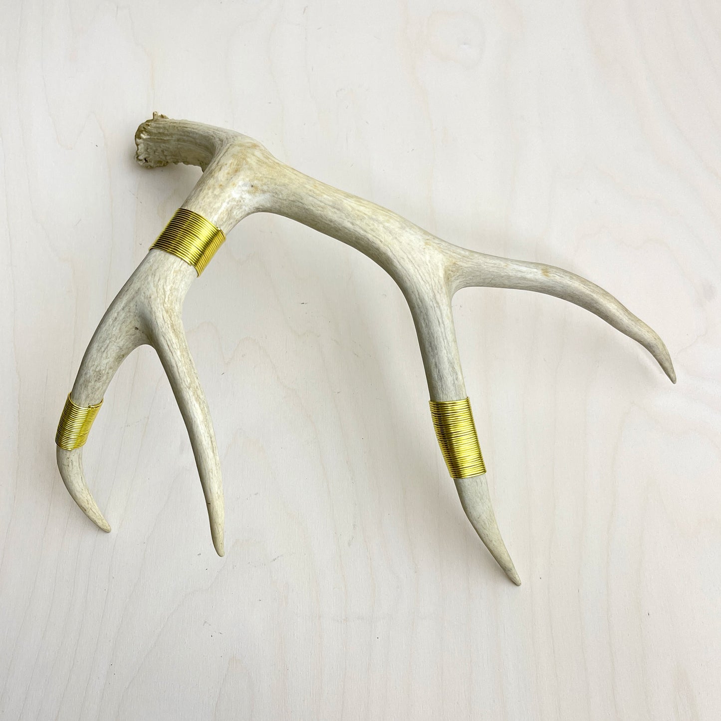 Antler Accent - Wire Wrapped