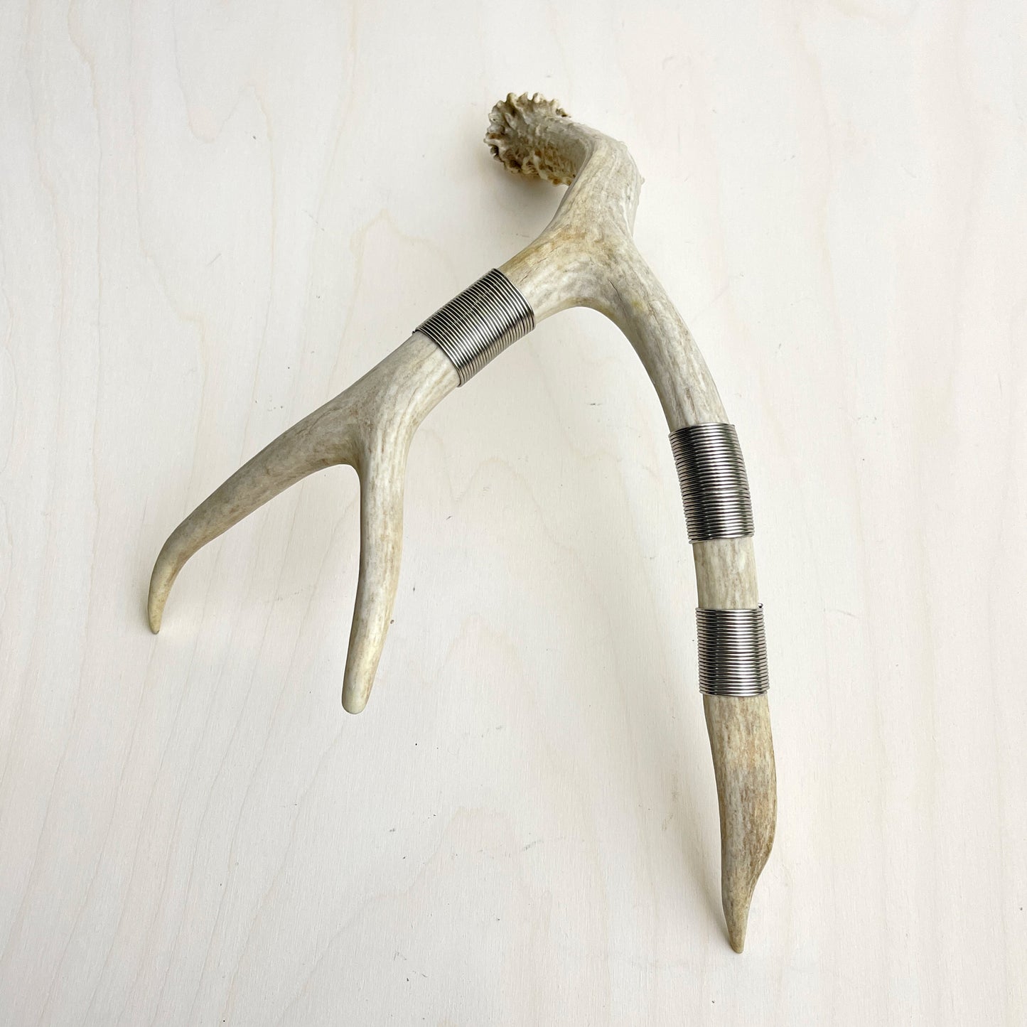 Antler Accent - Wire Wrapped