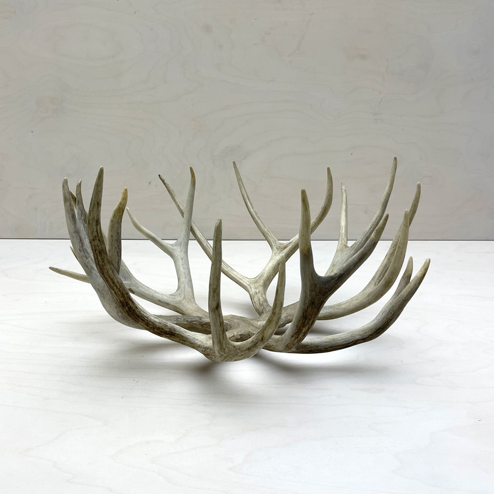 Antler Bowl