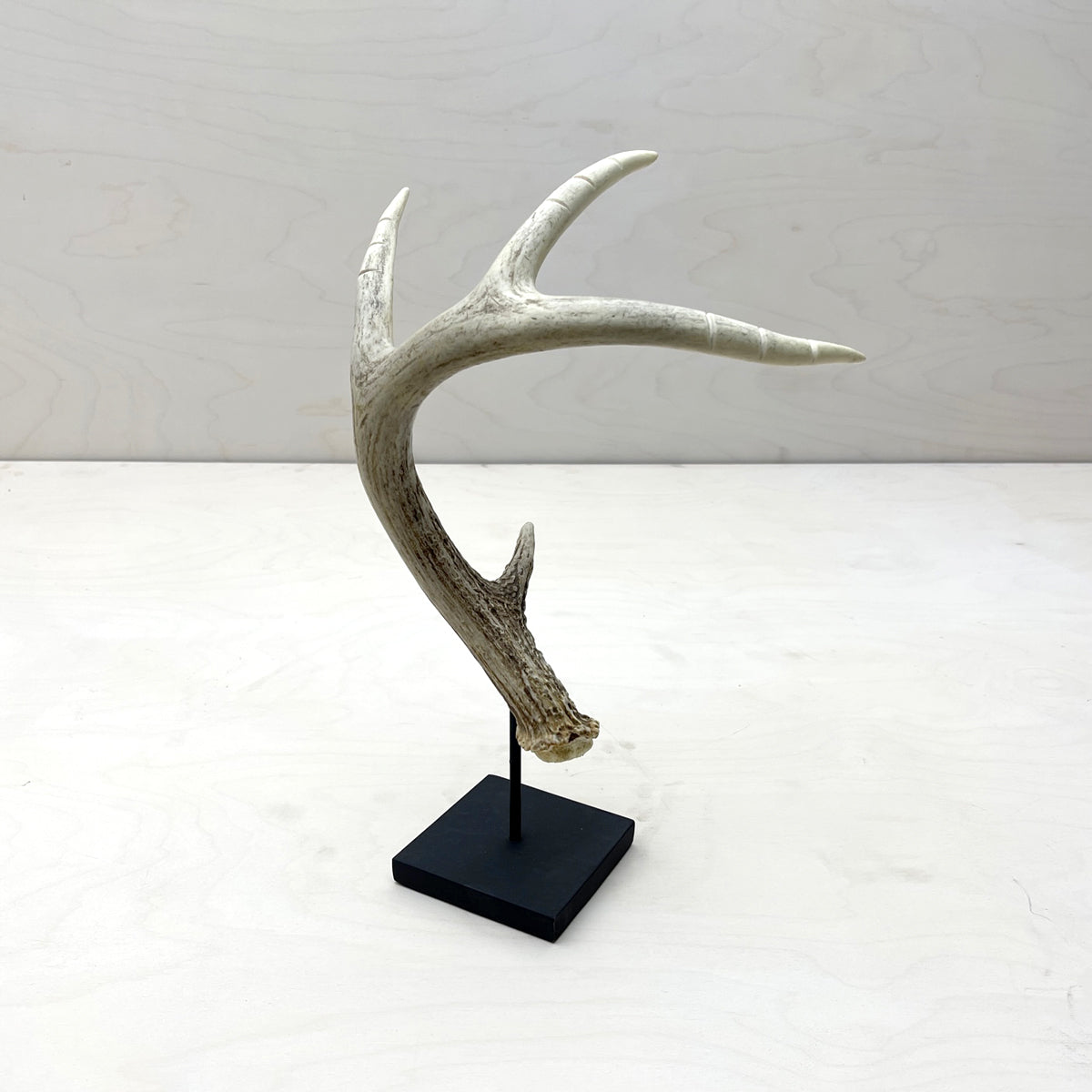 Antler Jewelry Stand
