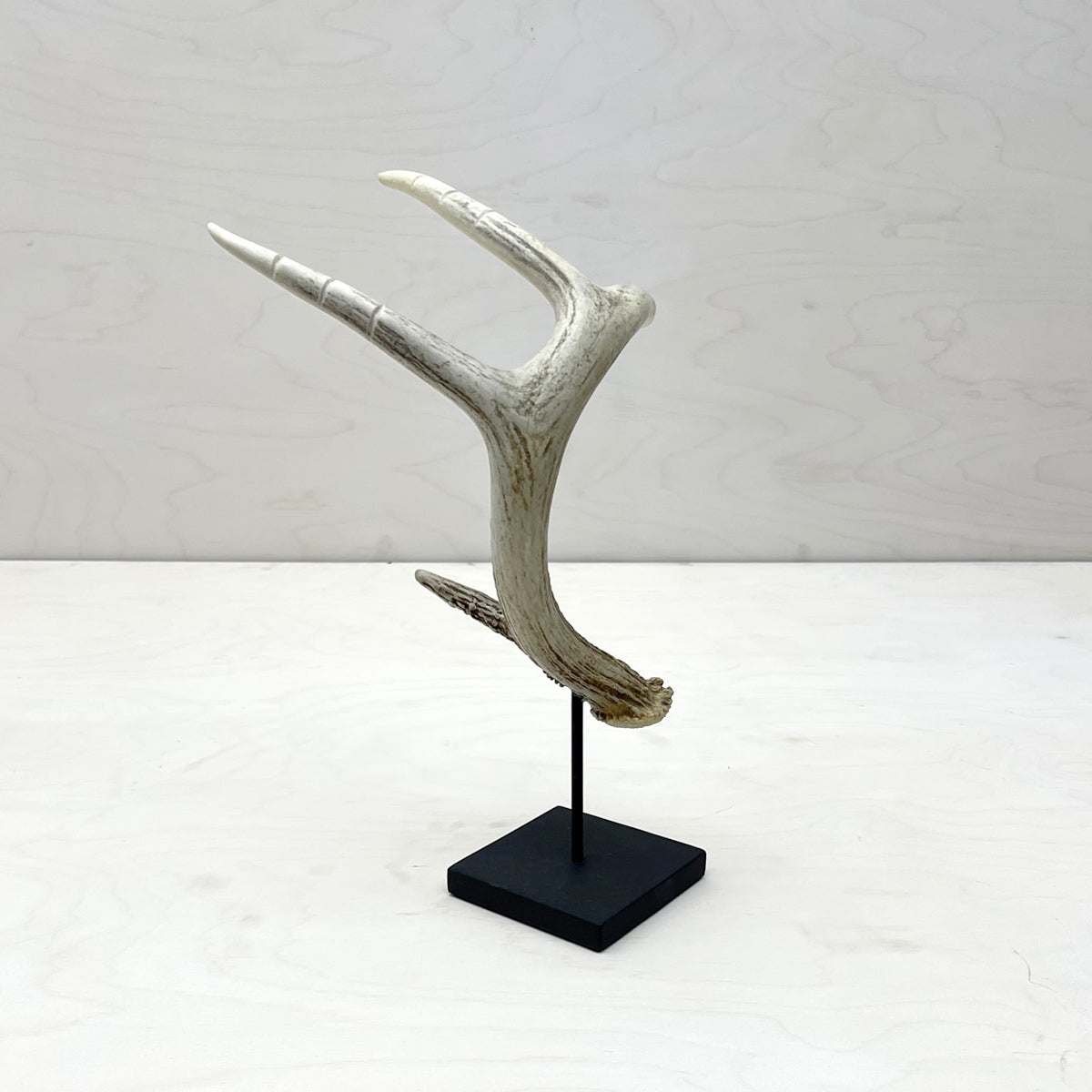 Antler Jewelry Stand