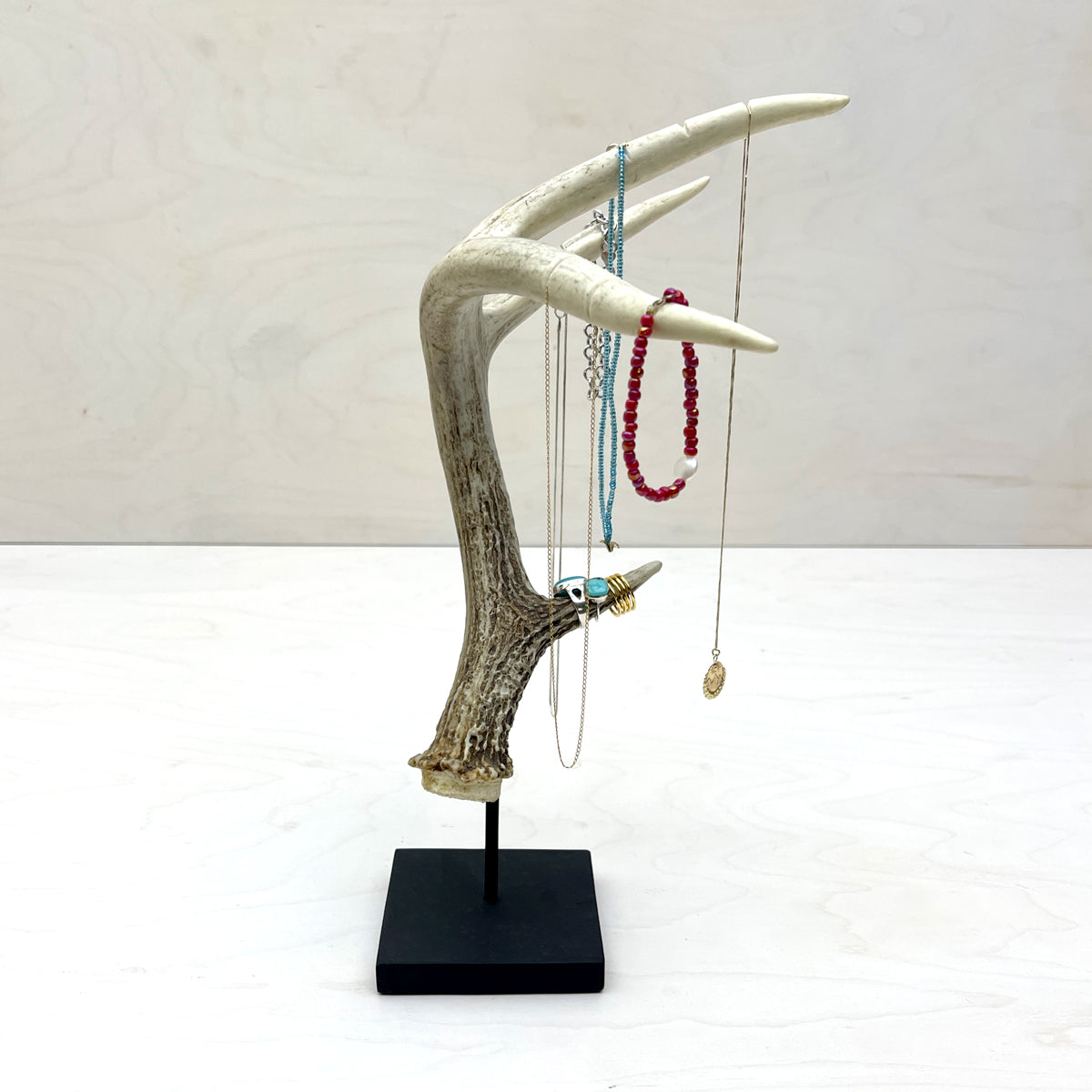 Antler Jewelry Stand