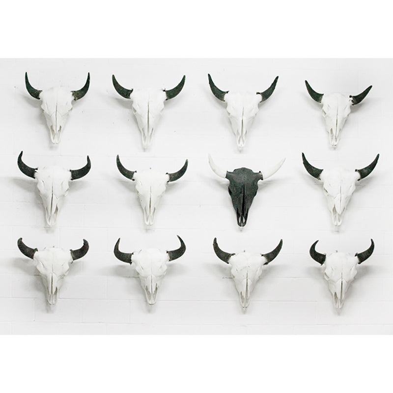 Bison Skull - Natural