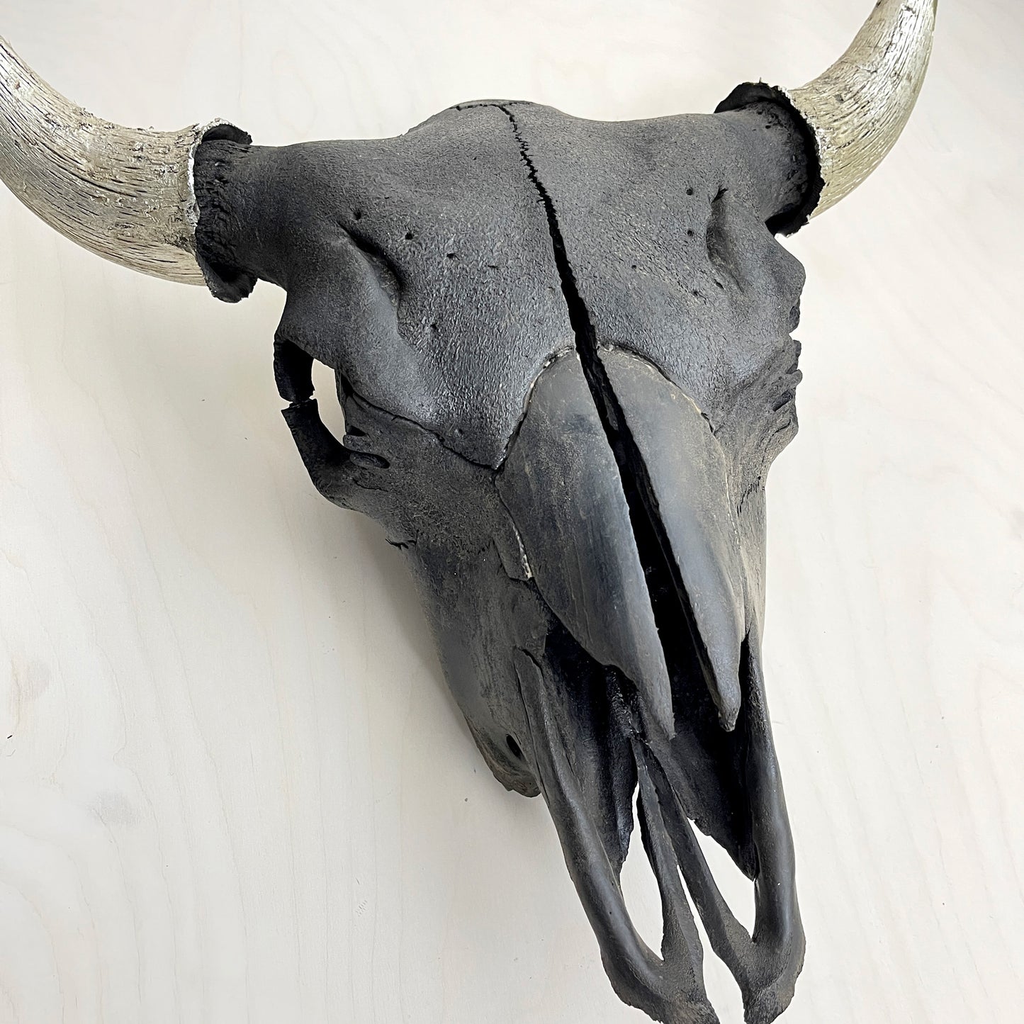 Bison Skull - Black Head