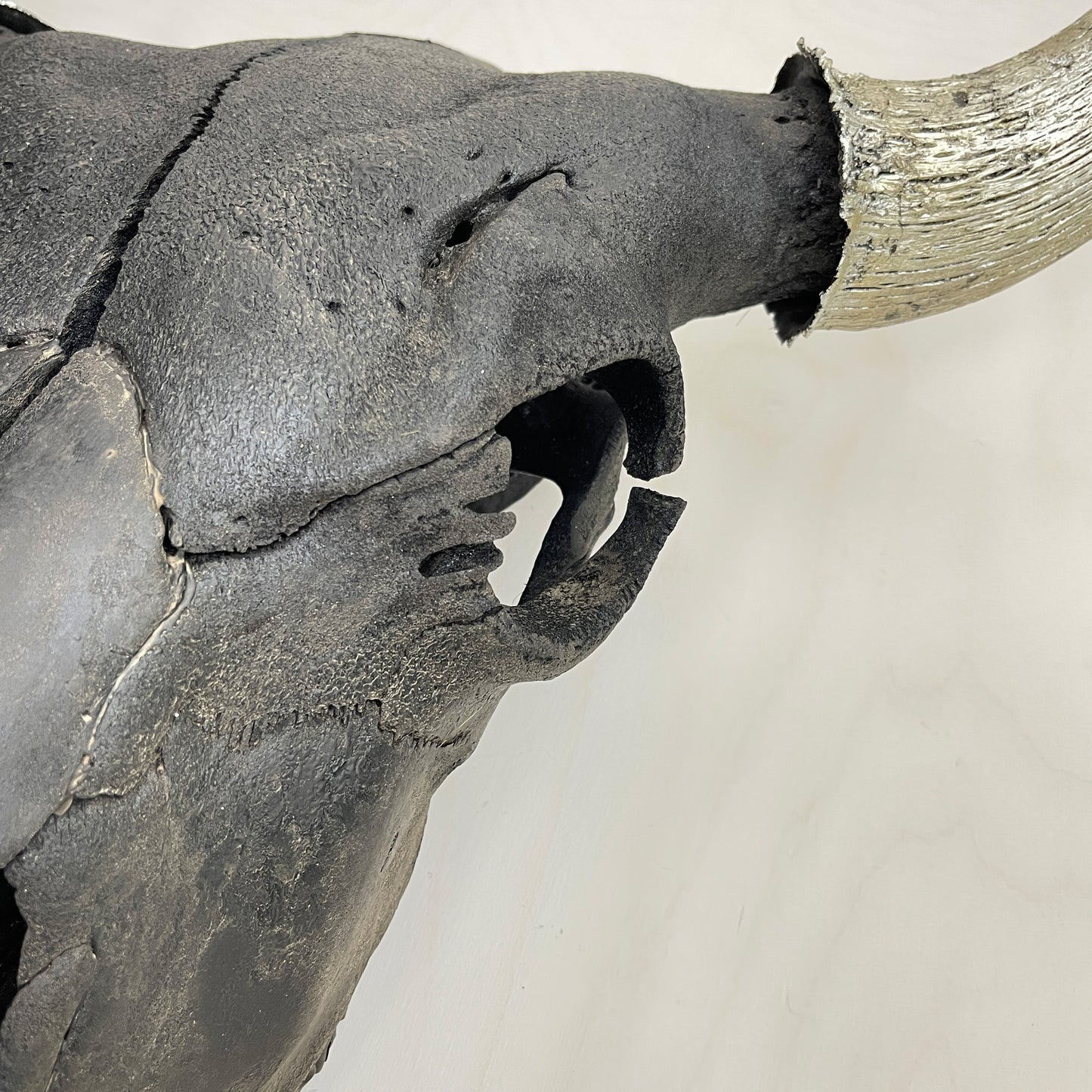 Bison Skull - Black Head