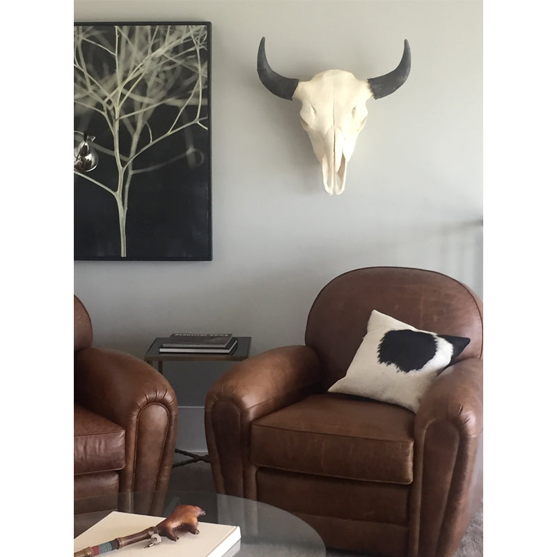 Bison Skull - Natural