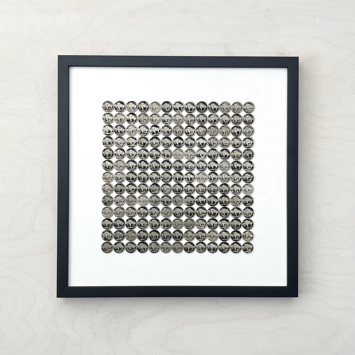 Buffalo Nickel Collage