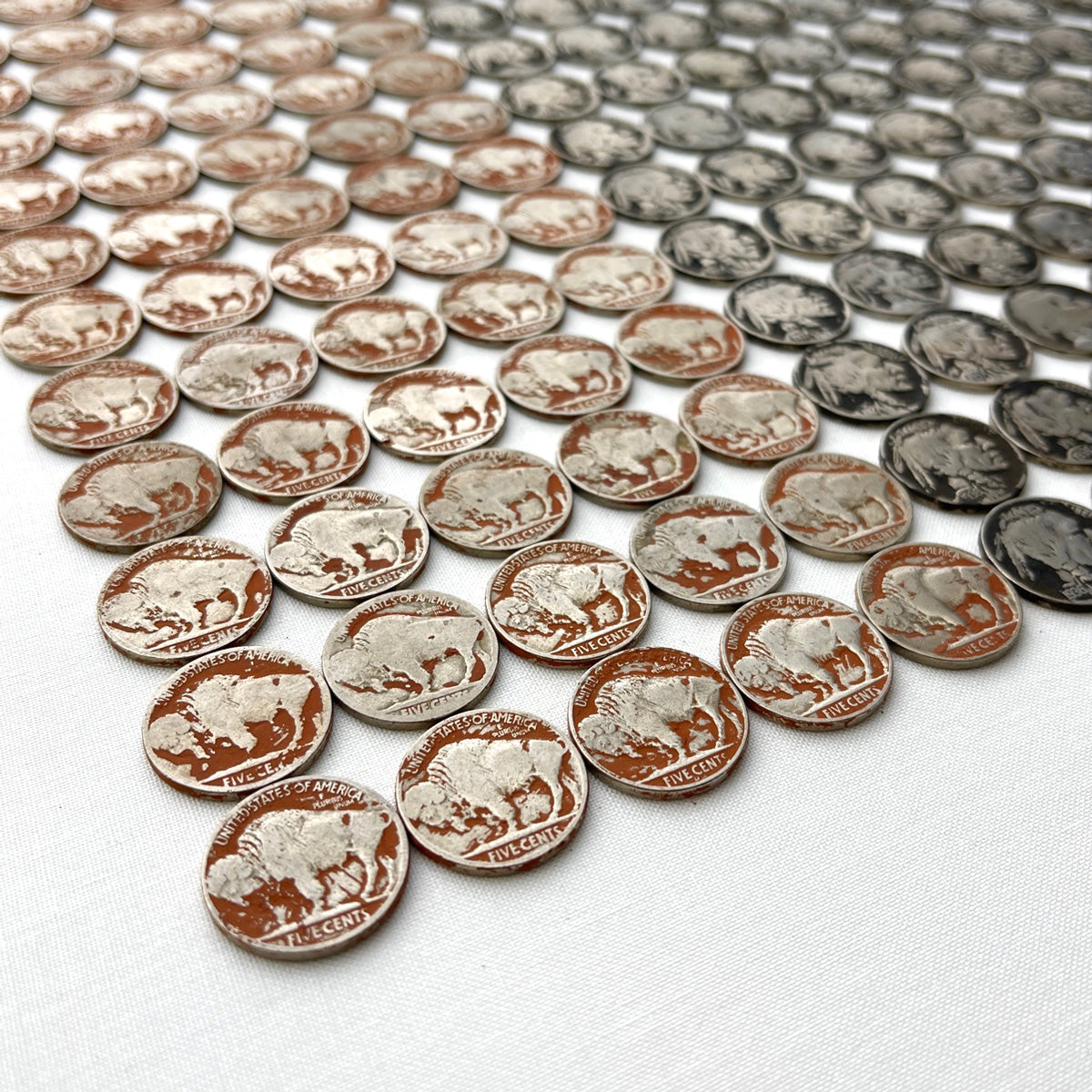 Buffalo Nickel - Study I