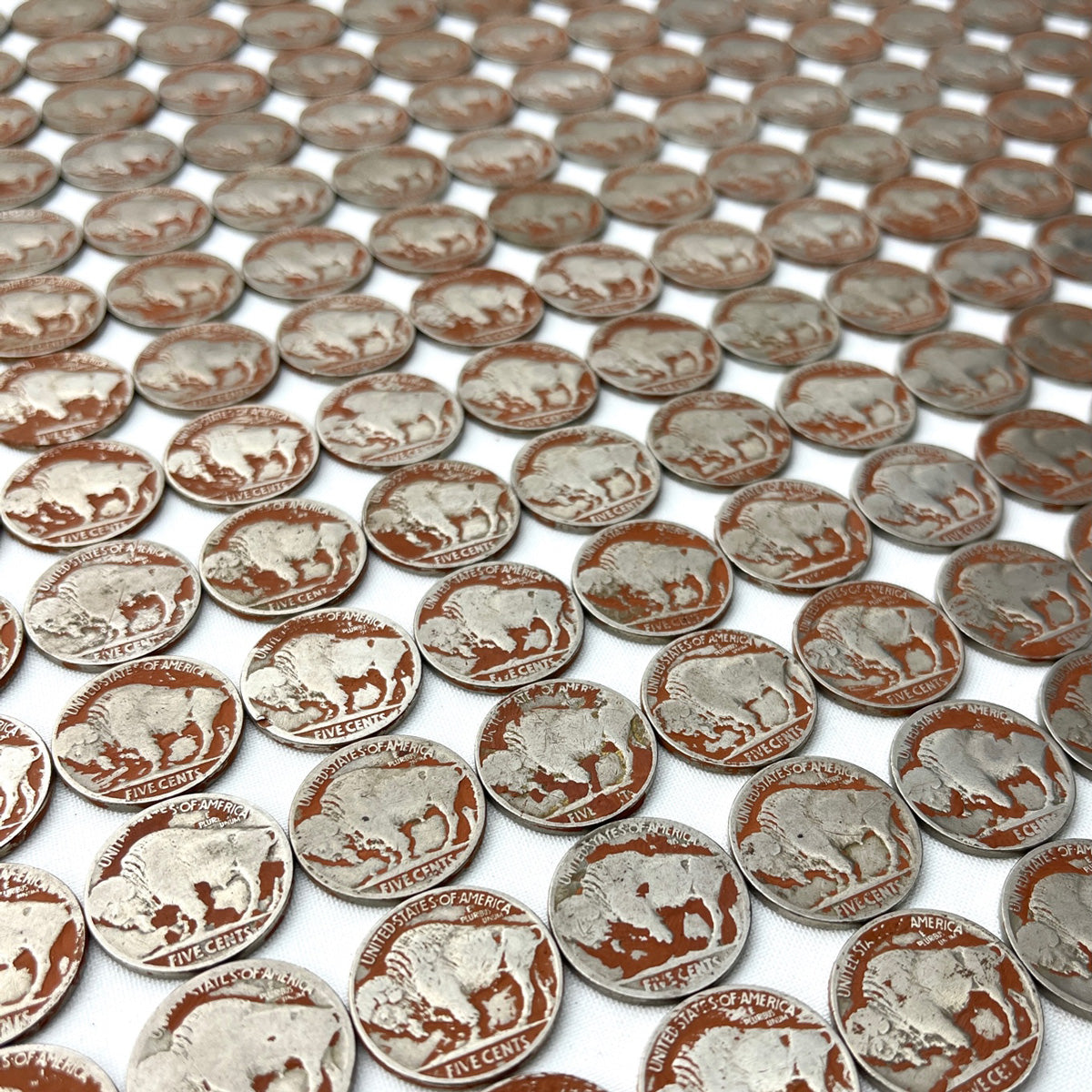 Buffalo Nickel Collage