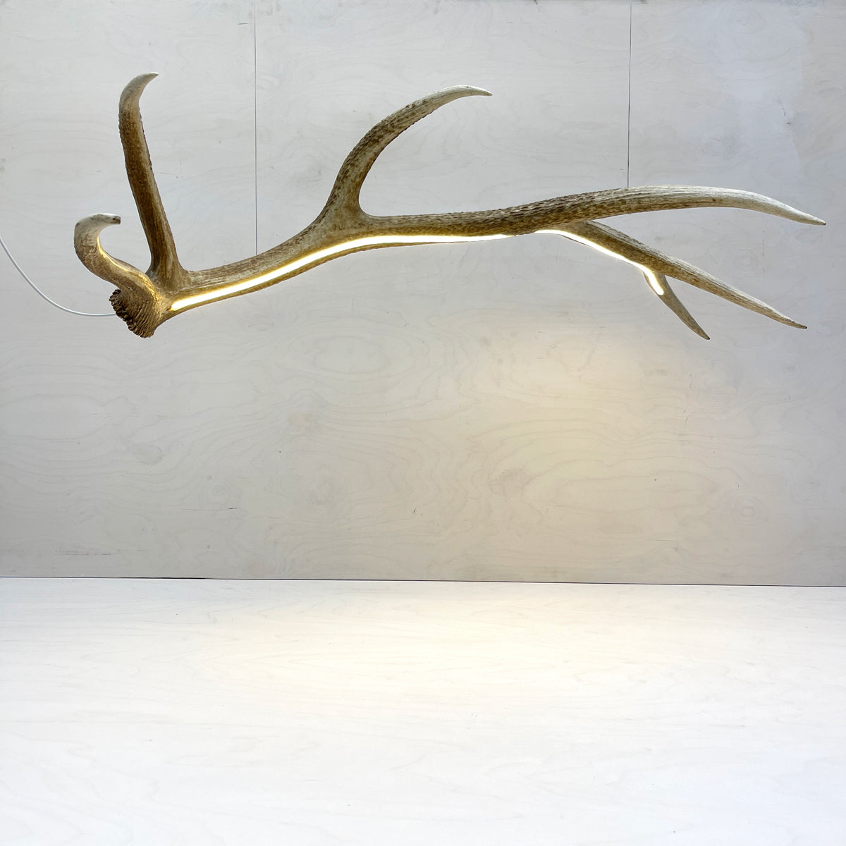 Elk Antler Linear Suspension - Natural