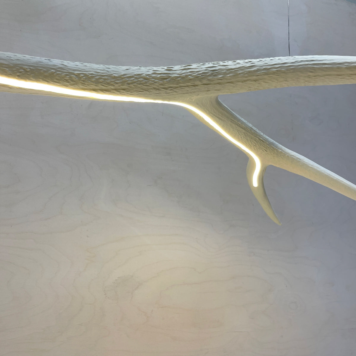 Elk Antler Linear Suspension - White